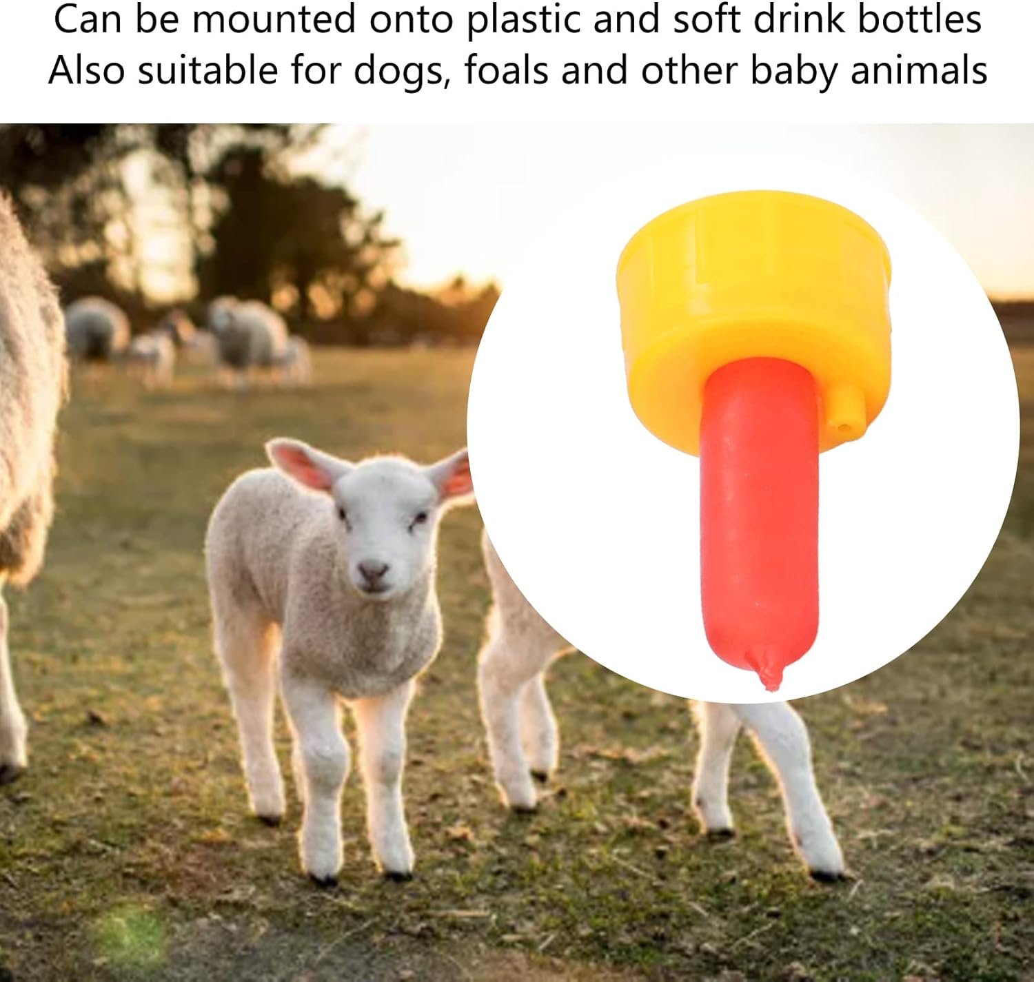 Goat Nursing Nipple, 10Pcs Lamb Milk Drink Feeder Nipple with Silicone Biting Part and Vent Hole for Orphaned Small Animal Feeding Including Dogs Foals and Other image number 3