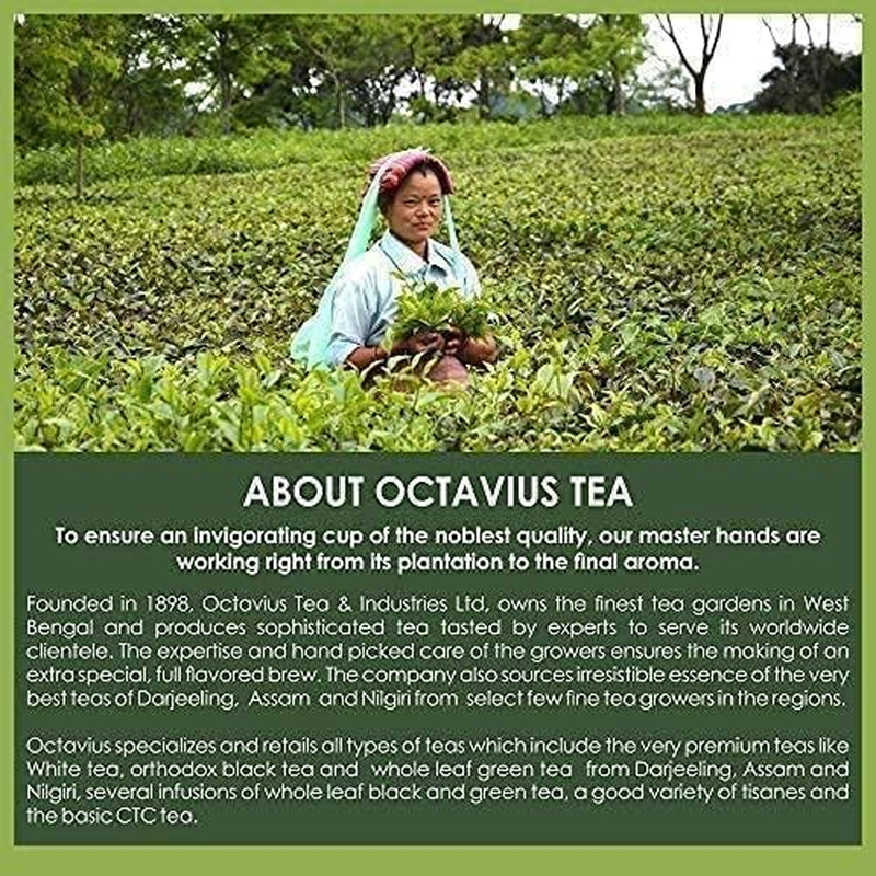 Octavius Tea Variety Pack &ndash; 6 Assorted Black & Green Teas | 50 Tea Bags &times; 2 Sampler Packs | Premium Tea Gift Box for Mother&rsquo;S Day, Festive Occasions & Tea Lovers