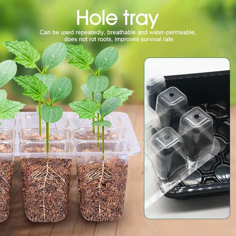 Tootoo 10 Set 12 Hole Plant Seed Grow Box Propagation Nursery Seedling Starter Tray image number 5