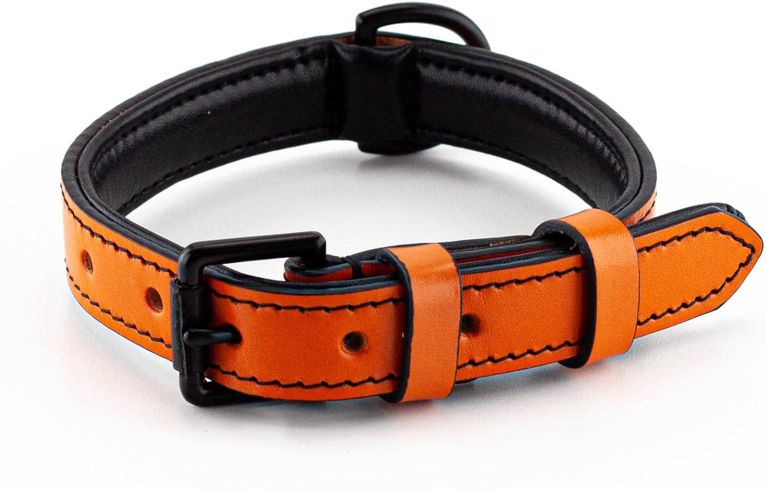 Brute Strength - Leather Dog Collar - Orange - M - Fits 14 3/16" and 16 15/16" Neck - Dog Tag Ring - Full Grain Heavy Duty - Soft Padded - Handmade - Dog Collar for Medium Dogs image number 1
