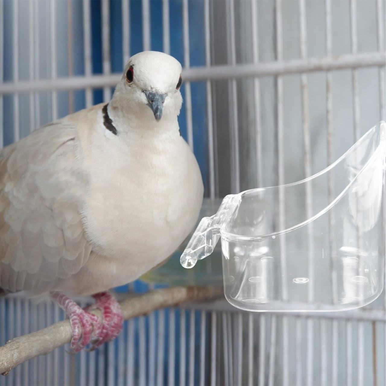 FUNOMOCYA Hanging Bird Bath Tub 5 X 3.7 Multipurpose Cage Accessory for Parakeets and Small Birds Feeder and Shower Easy to Assemble and Clean image number 2