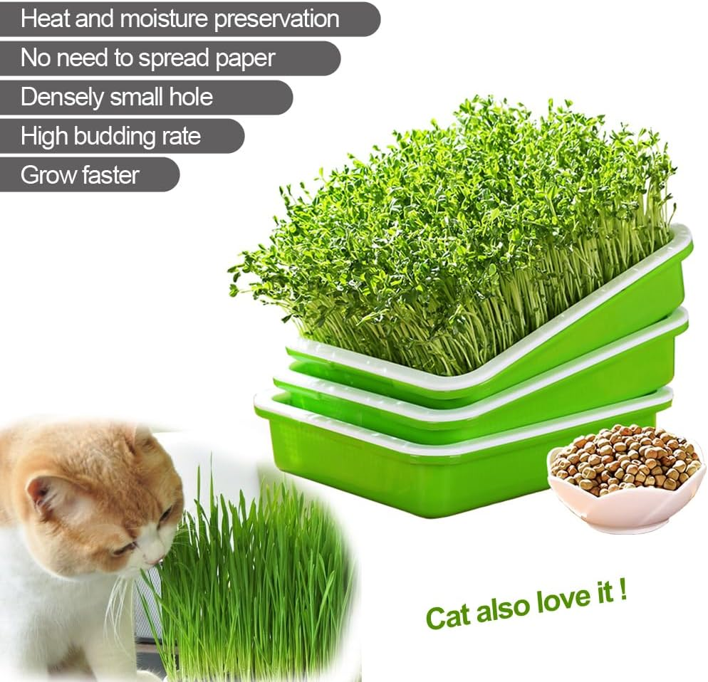 Lejoy Garden Seed Sprouter Tray BPA Free PP Soil-Free Big Capacity Healthy Wheatgrass Grower with Lid Sprouting Kit 13.4X9.84X4.72 Inches,Green