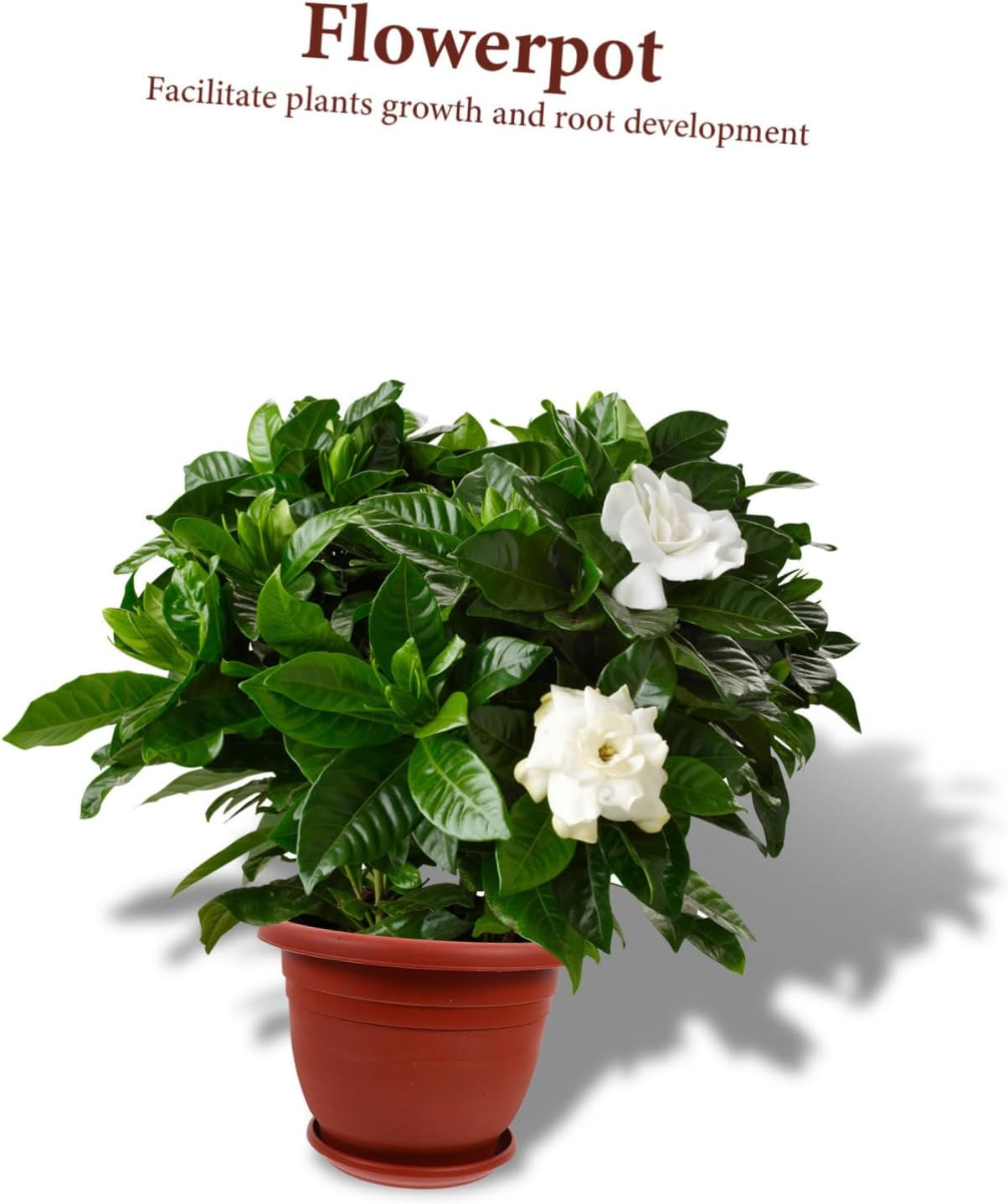 CIYODO Piece Set of Heavy Duty Seedling Pots Indoor Plant Pots Drainage Holes Red Clay Finish for Flower Arrangement and Gardening image number 2