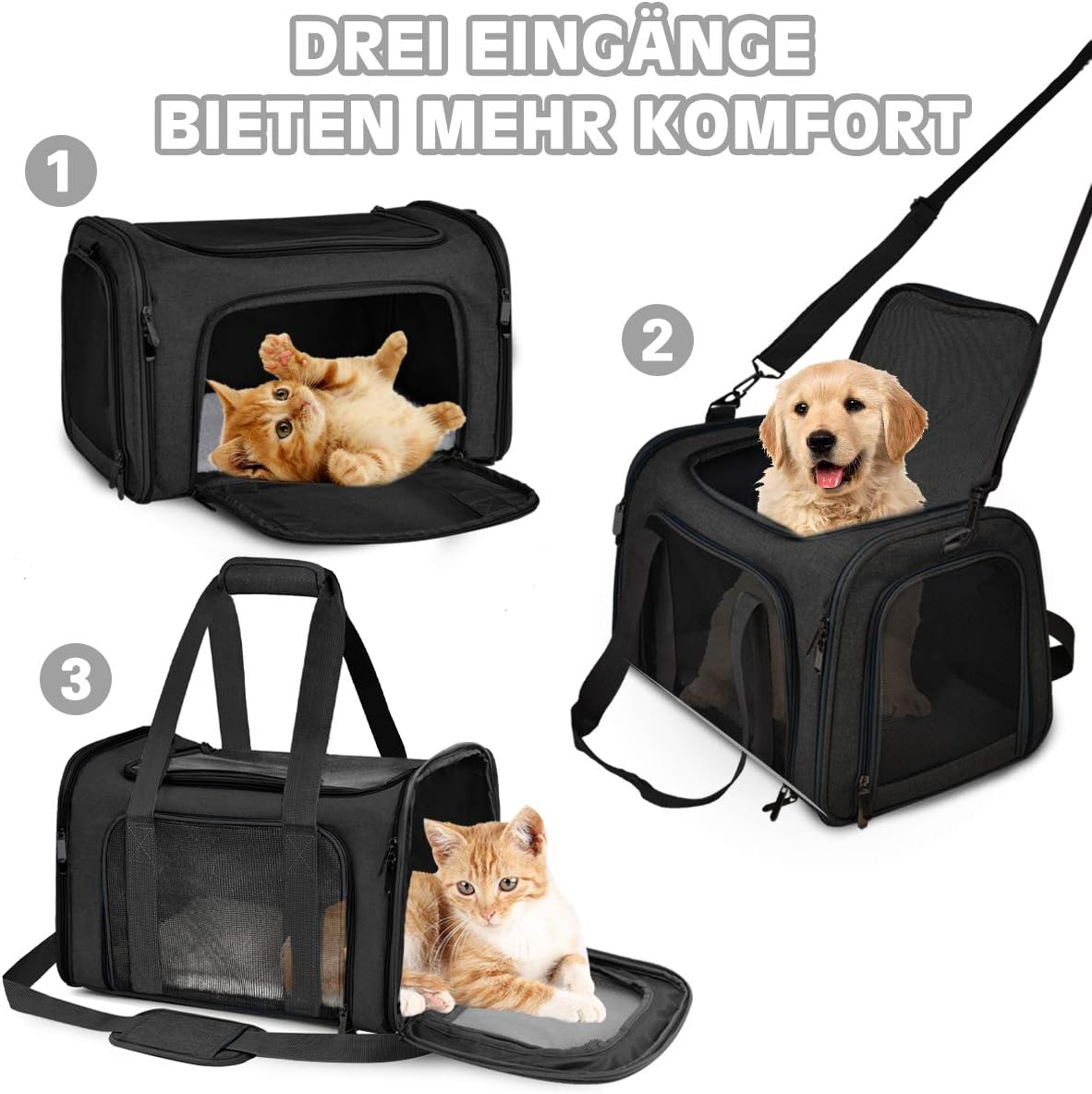 Transport Bag for Cats, Dogs, Foldable Carry Box for Medium Small Pets on Plane, Transport Box for Pets, 15 Lbs Cats Dogs Carry Box (Black, Medium) image number 5