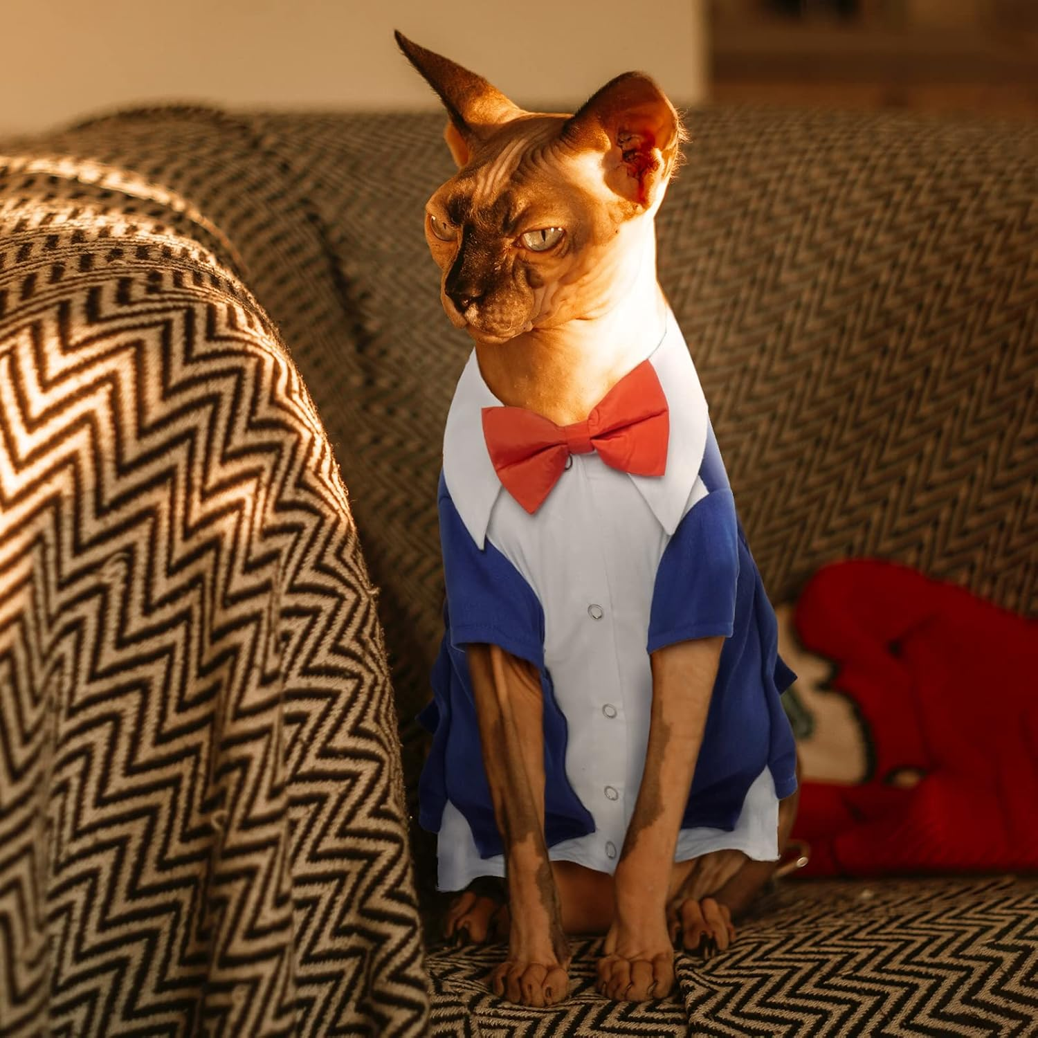 Hjyokuso Cat Tuxedo, Formal Wear Cat Costume, Cat Wedding Outfit, Blue, Polyester and Cotton, Xx-Large, Suitable for Small, Medium, Large Breeds image number 3