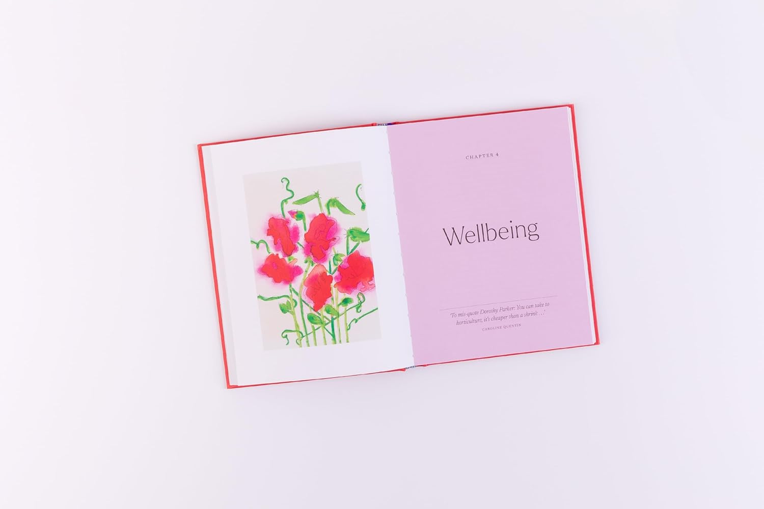 Drawn to the Garden: the Sunday Times Bestseller image number 3