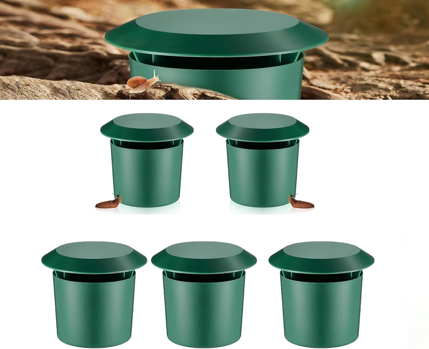 Qualirey Beer Slug Snail Traps, Plastic Garden Catcher, 11.3 X 9.5 Cm, Reusable House Trapper, 5 Pack image number 2