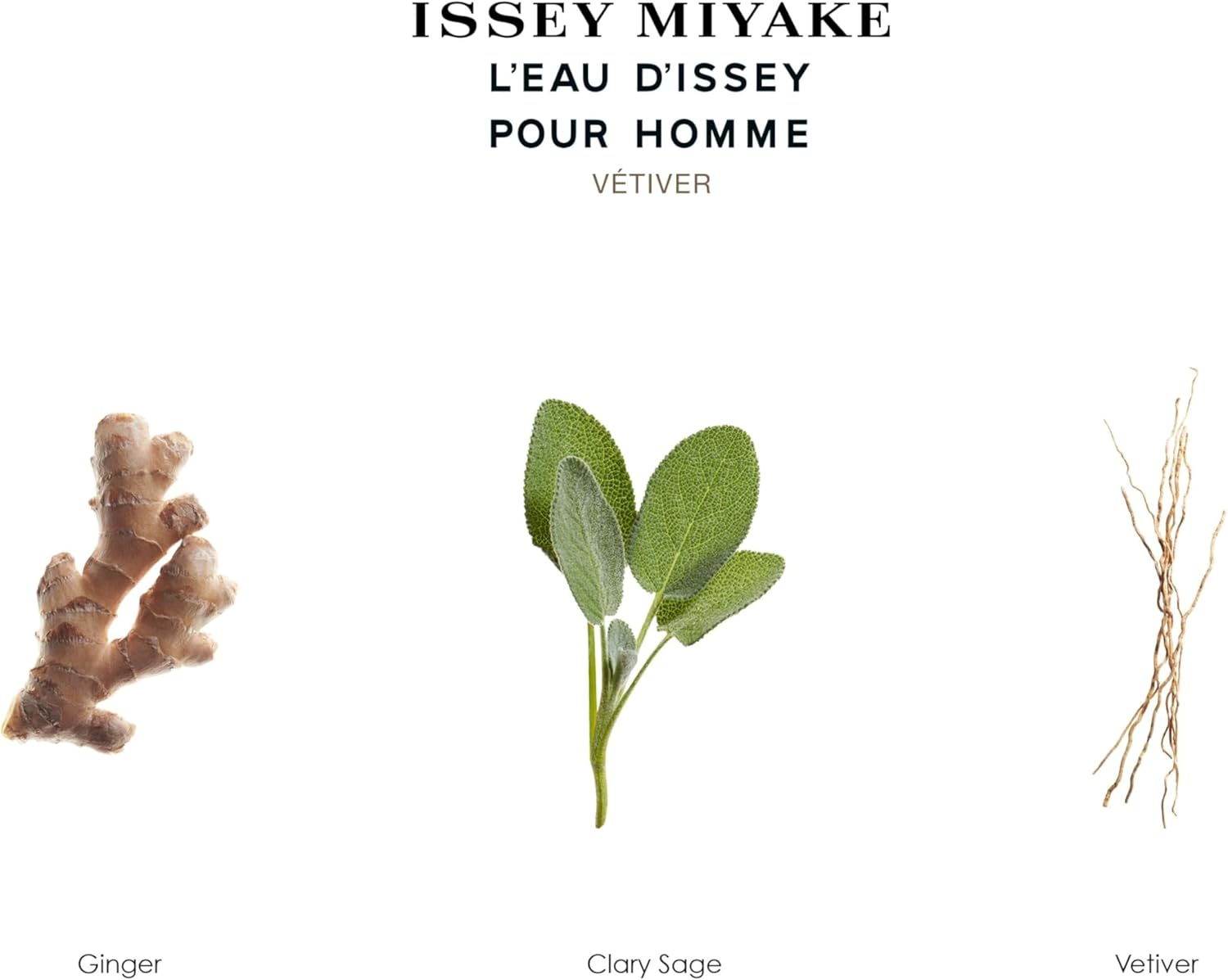 Vetiver Intense by Issey Miyake for Men - 3.3 Oz EDT Spray image number 5