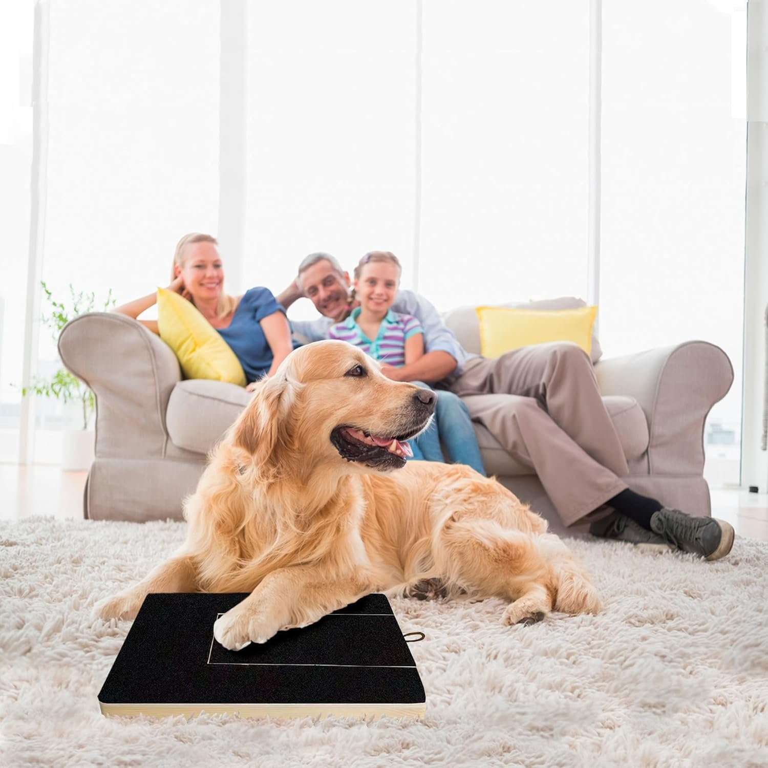 Dog Nail Scratch Board,Dog Scratch Pad with Treat Box,Dog Nail File Toy, Multi-Functional Trimming Tool,Alternative to Dog Nail Clippers and Dog Nail Grinders image number 6