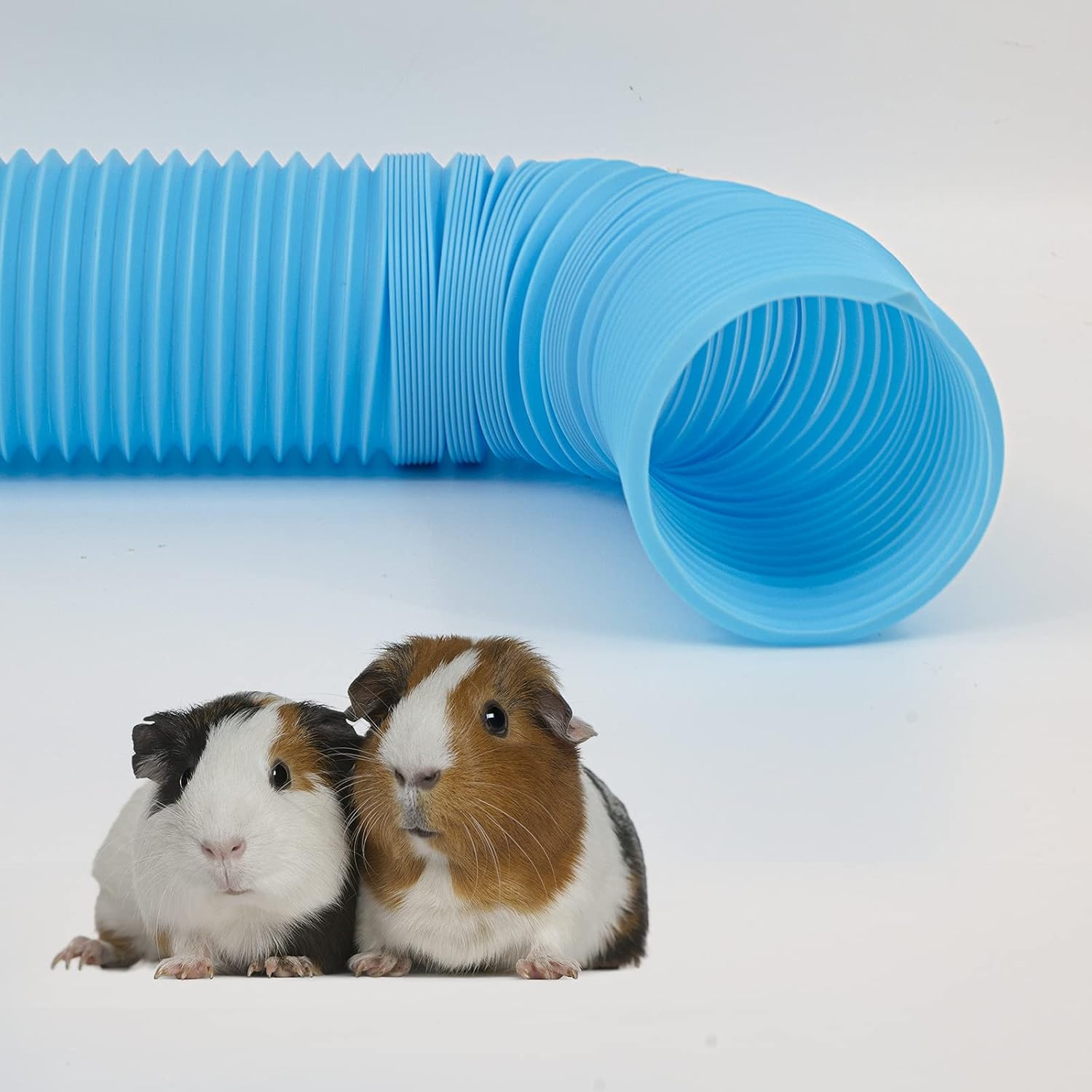 2 Pieces Pet Fun Tunnel Small Animal Play Tunnel Collapsible Plastic Tube Pet Hideaway Fun Toys for Hiding Training Fit Guinea Pigs Hamsters Chinchillas Rats Ferrets Dwarf Rabbits Pink Blue Wishope - Blue,Pink image number 4