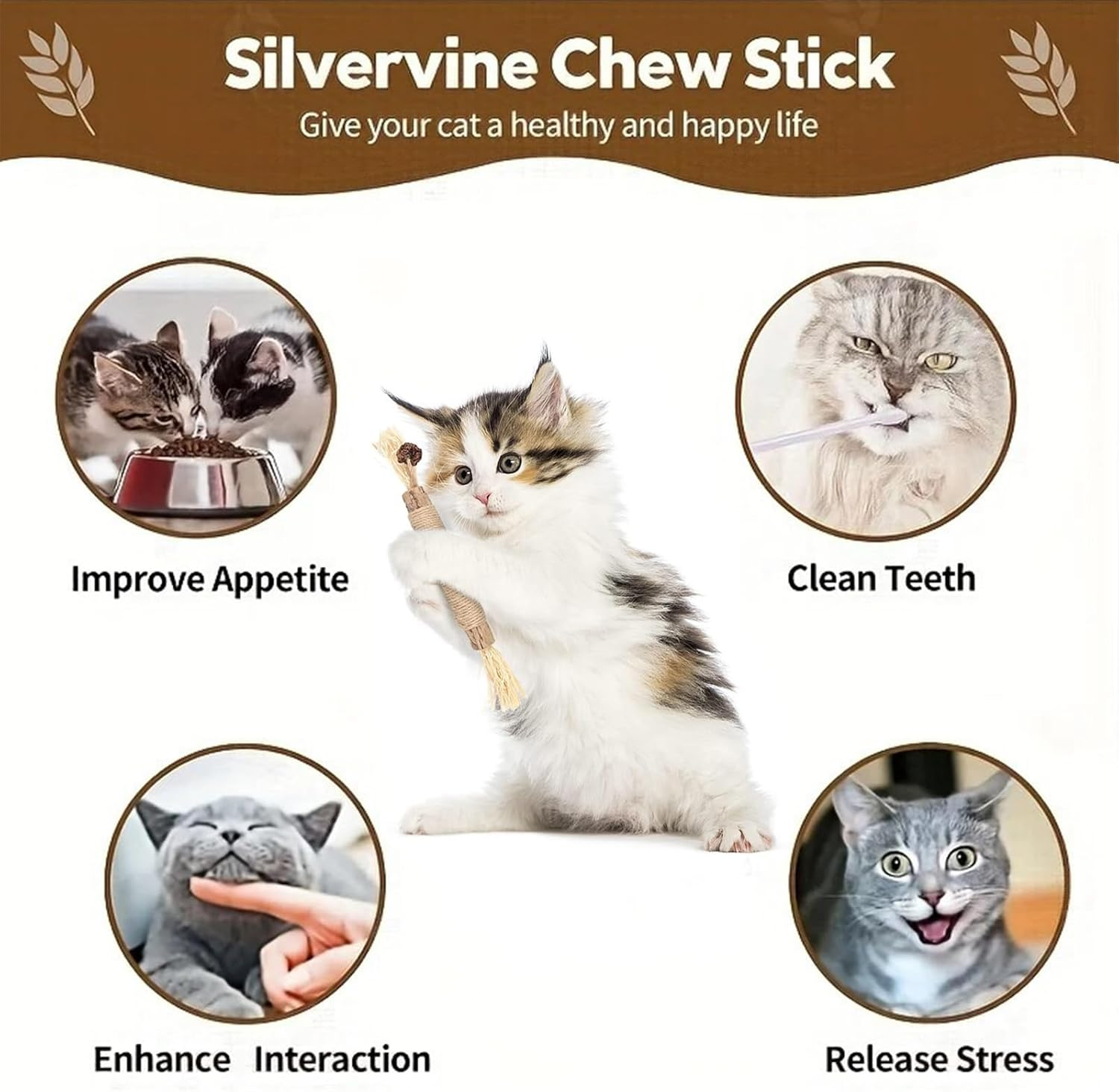 6 Pack Silvervine Chew Sticks for Cats, Natural Catnip Chew Toys for Kittens Teeth Cleaning, Dental Care, Increase Appetite, Calm Cat Anxiety and Stress, Aggressive Chewers Cat Dental Toy image number 1
