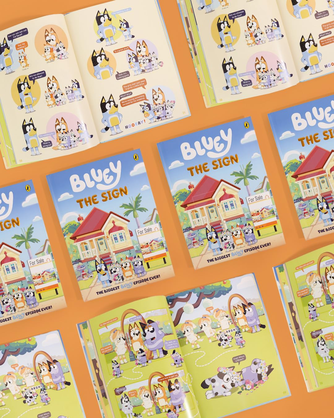 Bluey: the Sign: a Deluxe Comic-Style Book Based on Bluey'S Biggest Ever Episode! image number 4