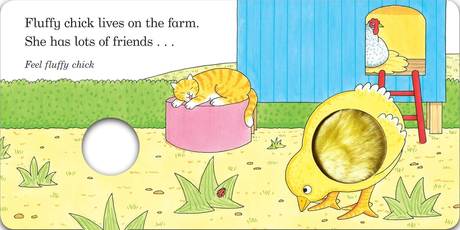 Fluffy Chick: a Touch-And-Feel Book from the Creator of Dear Zoo image number 2