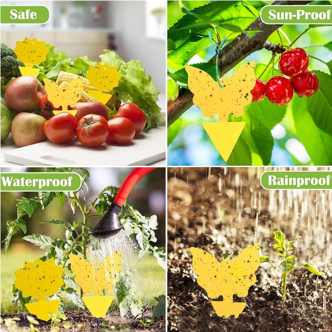 Fruit Fly Traps Fungus Gnat Traps, Dual-Sided Fungus Gnat Sticky Traps 42 Pack Non-Toxic and Odorless Gnat Killer for Indoor Outdoor House Kitchen Plants Whitefly Mosquitos Latex Resistance Band image number 5