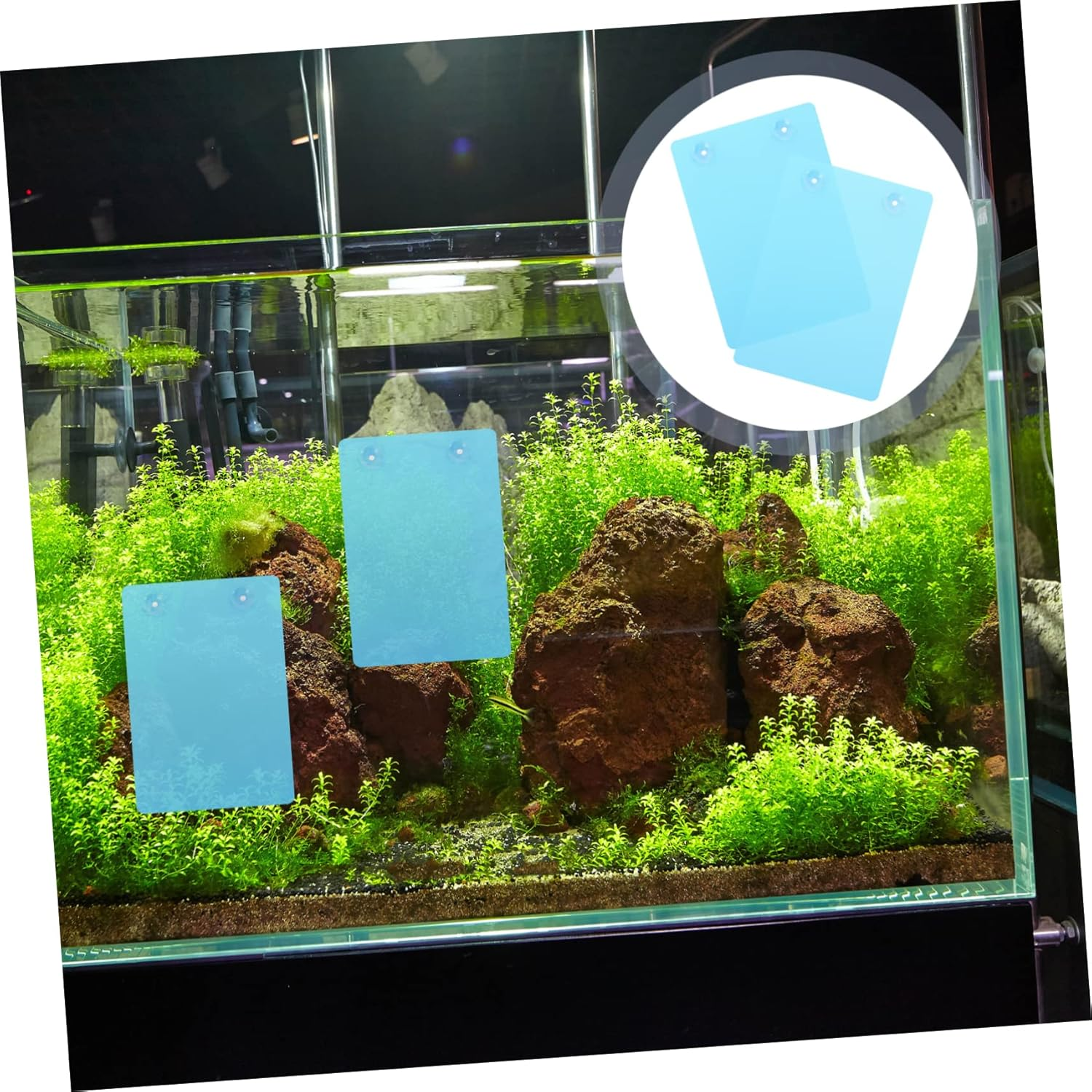 CLISPEED Fish Tank Breeding Plate with Suction Cups 2Pcs Blue Plastic Spawning Board for Aquarium Fish Breeding and Safety Isolation in Aquatic Pets Tank image number 1