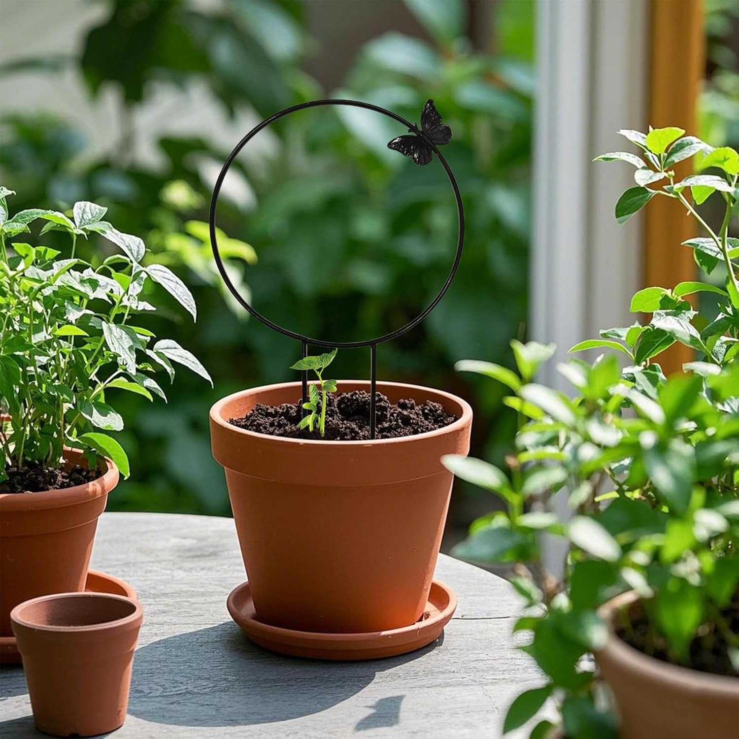 Sgphrzlt 2 Pack Small Trellis for Potted Plants, Metal Trellis for Climbing Plants Indoor, Houseplant Vine Support Outdoor Garden Climber for Ivy Flower Flowerpot, Heart image number 3