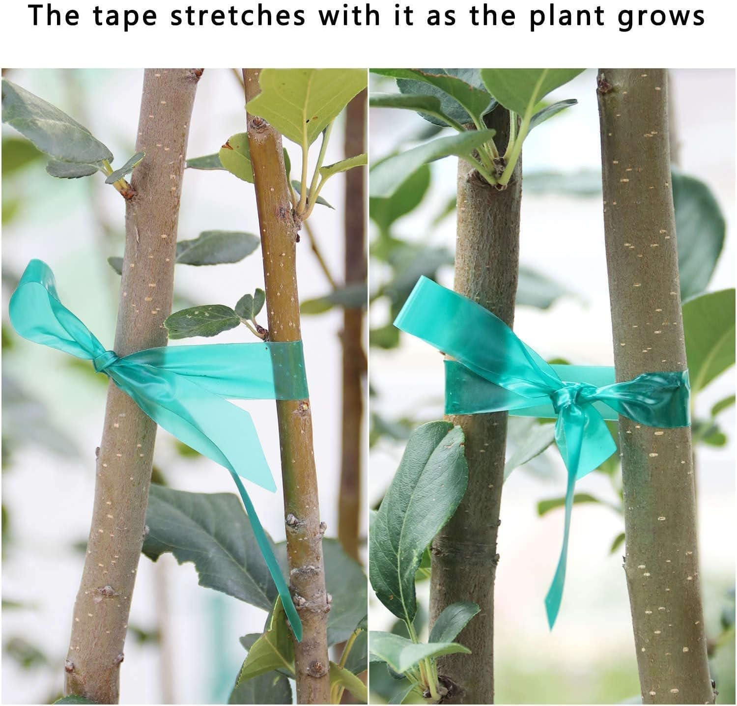 Stretch Tie Tape Roll, 1/2" 150Ft Garden Tie Tape, Thick Sturdy Plant Ribbon Garden Green Vinyl Stake Gardening Tools for Indoor Outdoor Patio Plant Use (2 Pack) image number 6