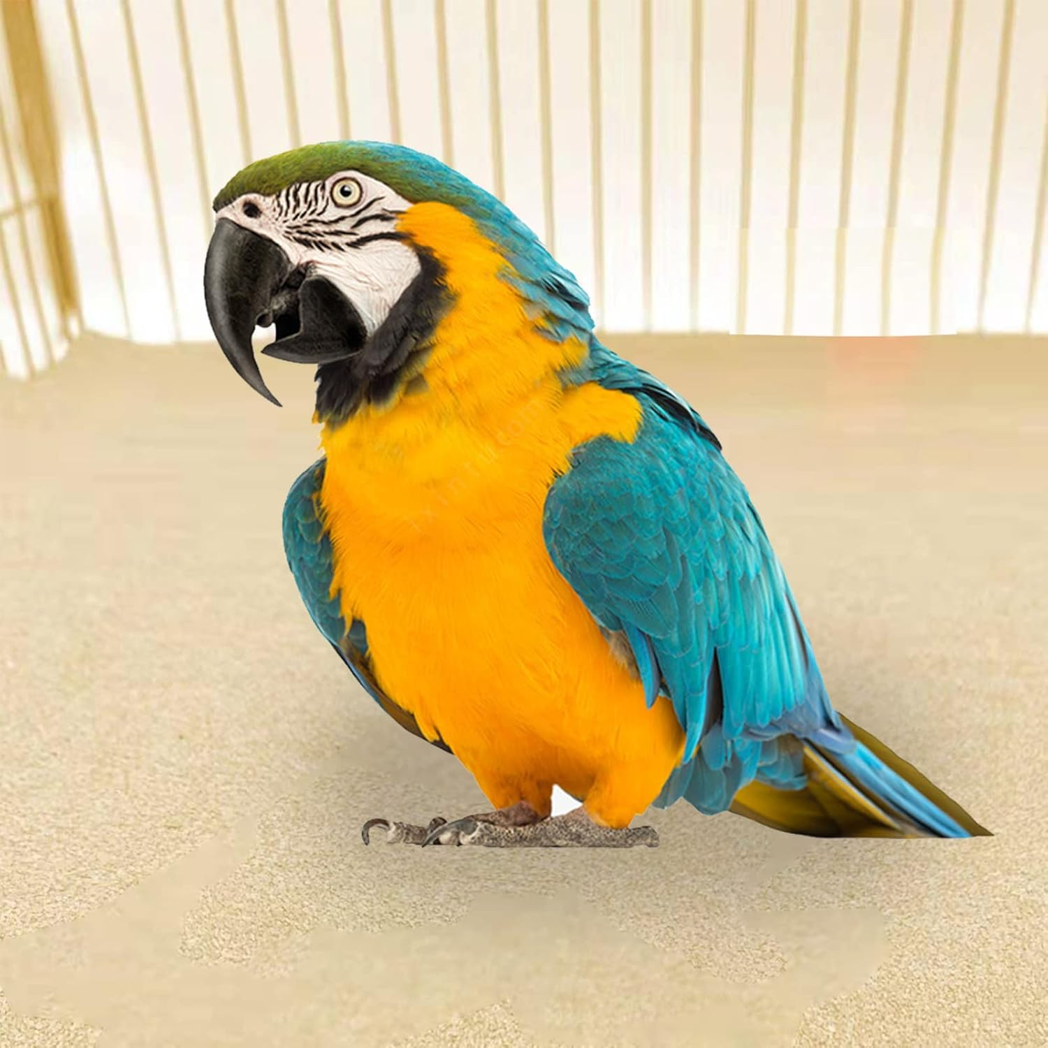 20 Pcs Gravel Paper for Bird Cage, 17X11 Inches Bird Cage Gravel Liner, Bird Grinding Sandpaper, Easy Clean Pet Sandpaper, Calcium Paper with Sea Sand for Birds Parrots Cockatiels(20Pcs Fine Sand) image number 5