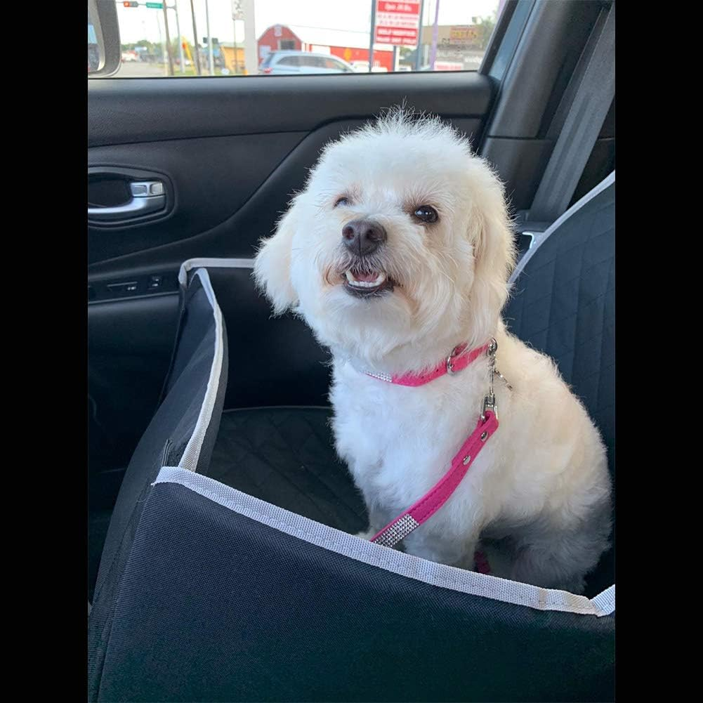 ETOPARS Dog Collar and Lead with Rhinestones, Crystal Diamond Cat Dog Collar Lead Set, Dog Collar Harness, Dog Rhinestone Collar image number 2