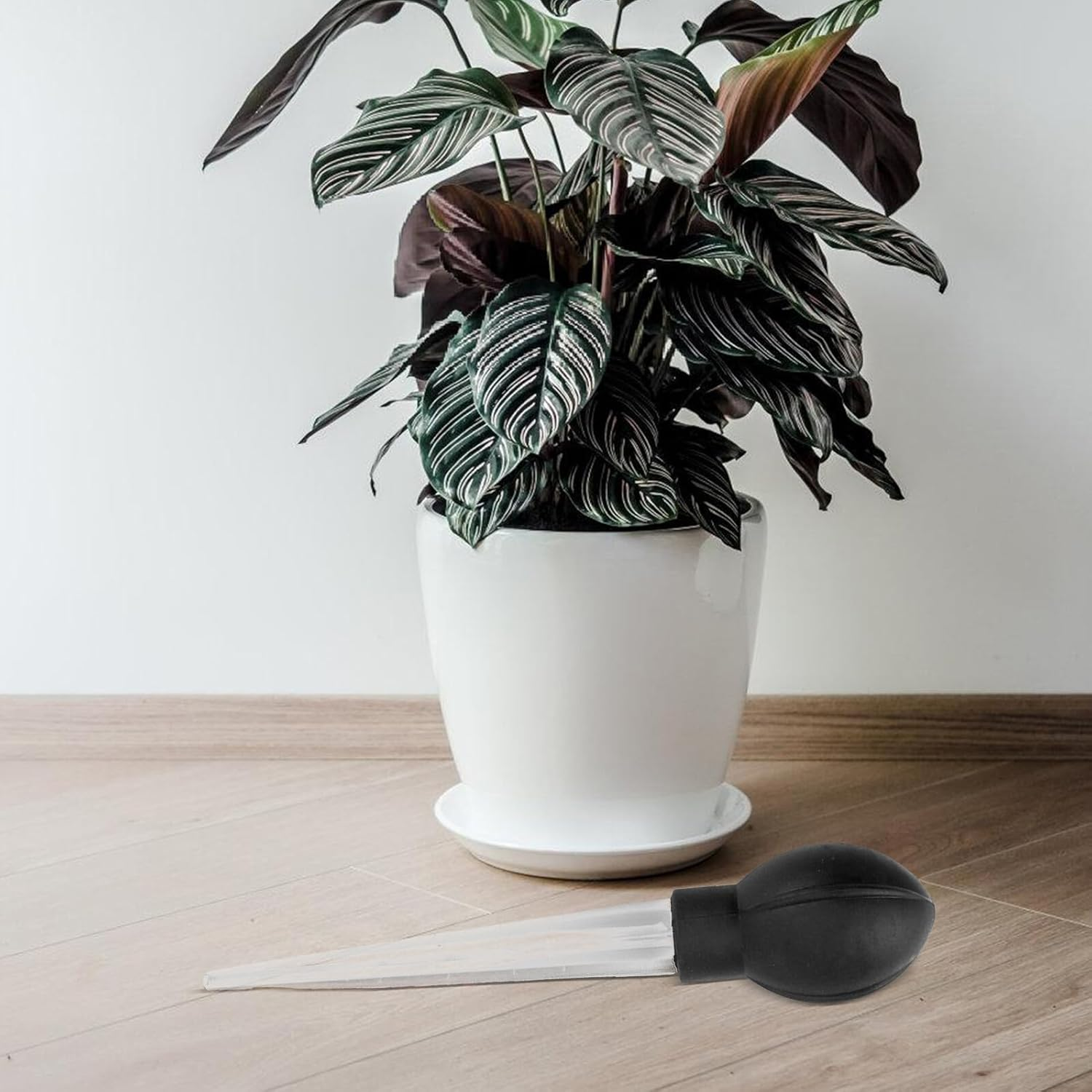 Outanaya Plant Tray Water Absorber Saucer Water Remover Gardening Tool for Flower Pot Accessories Large Size Rubber Base for Indoor and Outdoor Use image number 1