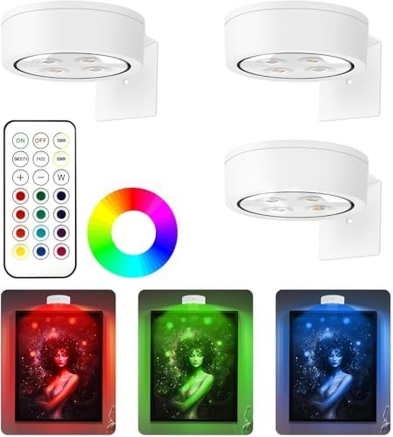 3PCS Picture Lights for Wall, Magnetic Painting Light with 13 Lighting Modes, Magnetic Led Painting Light Remote Dimmable and Timer for Wall Art, Craft Rooms, Home Decor and Nighttime (Black1)