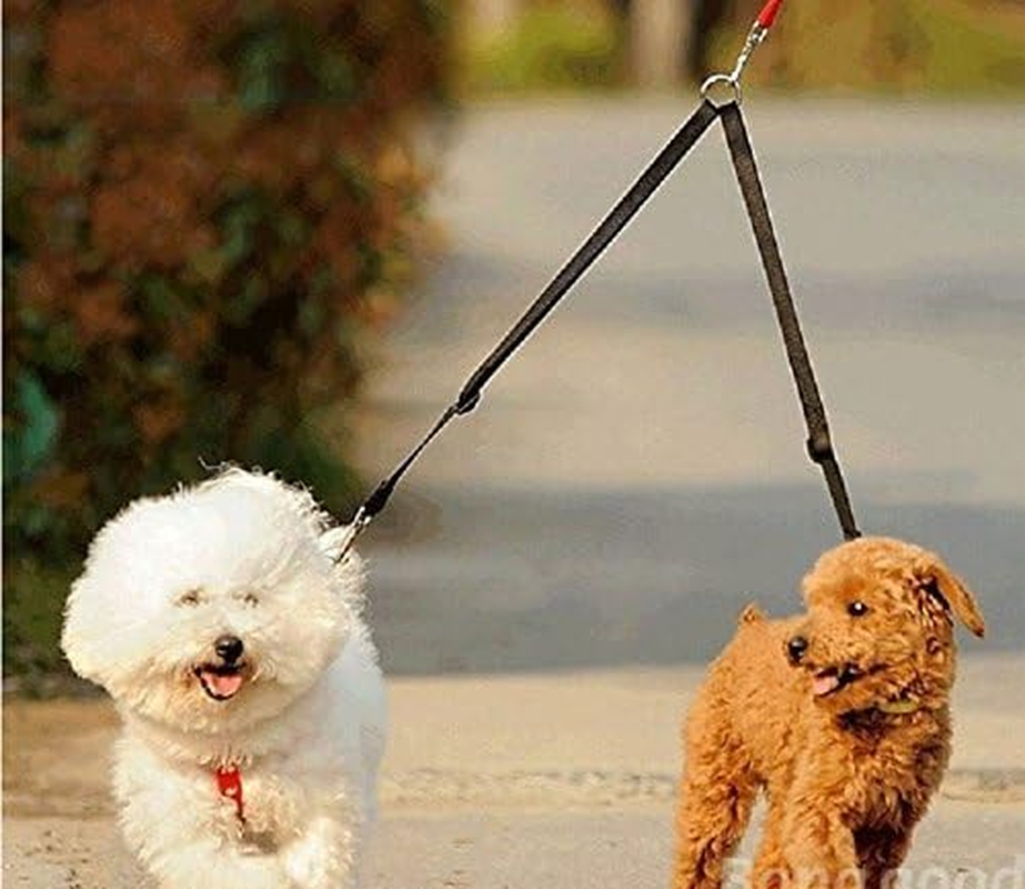 No Tangle Dog Leash Coupler, Dual Double Dog Adjustable Splitter Lead Durable Walker Trainer Leash for Two Dogs image number 5