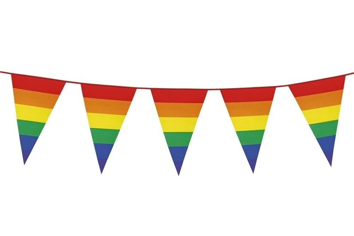Pride Rainbow Bunting Flags, Gay Pride LGBTQ+ Decoration Bunting, 3.6M Rainbow Banner 10 Flags, for Parties Festivals Celebration Car Home Mardi Gras Hanging Decor image number 1