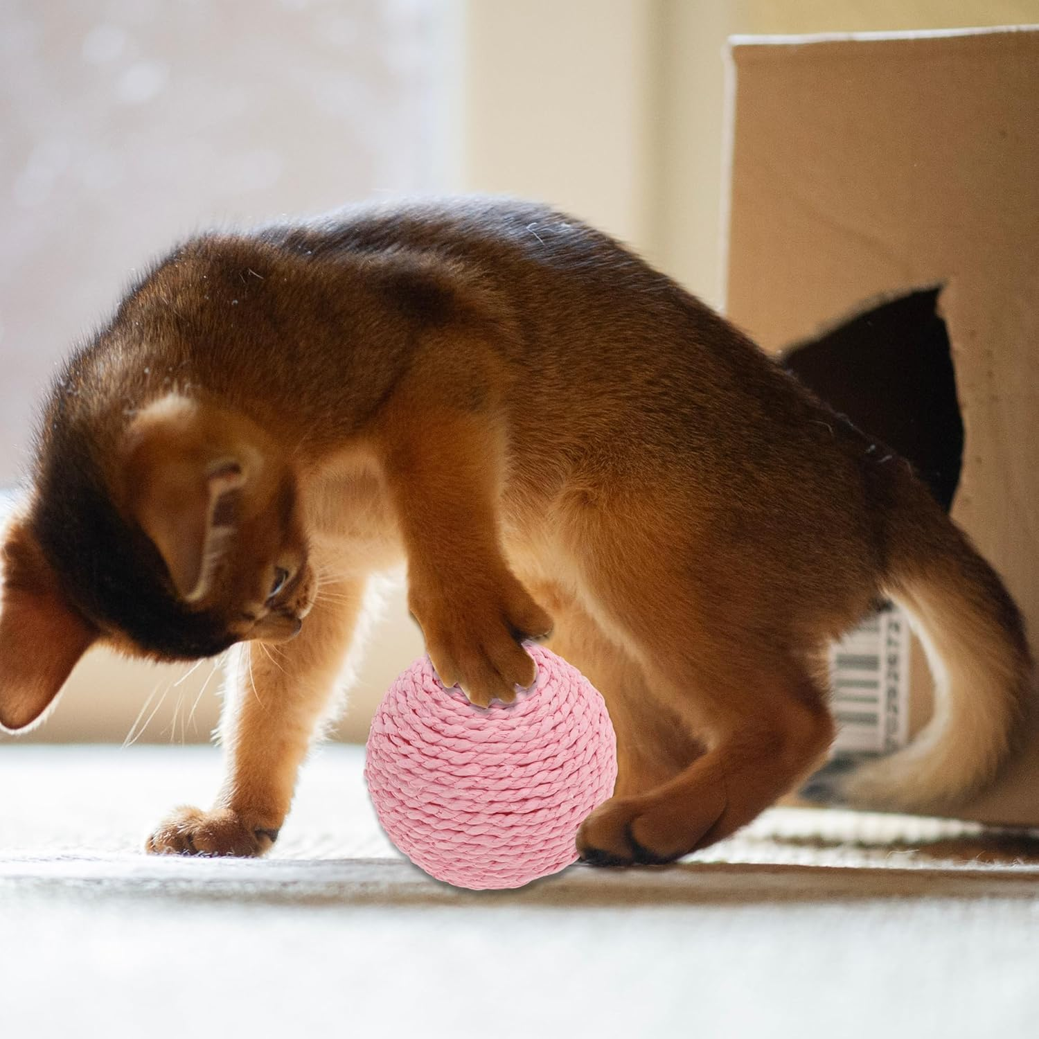 CAPASTEC Cat Playing Ball with Bell Indoors, Interactive Cat Balls for Playing and Fetch, Safety Dental Care Cat Chew Balls, Diameter 10 Cm, Pink image number 1