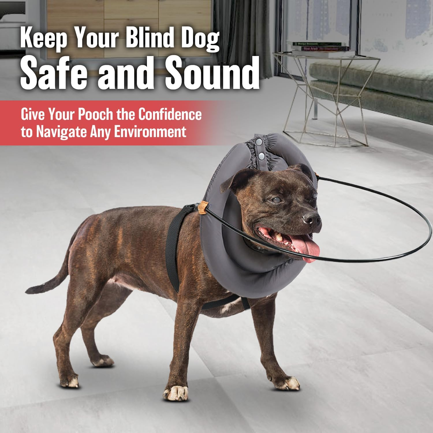 Blind Dog Halo Anti-Collision Harness &ndash; Face Guard for Blind Dogs, Adjustable & Waterproof with Detachable Fiberglass Rod &ndash; Ensures Safety, Prevents Bumps, Ideal for All Breeds & Sizes (Extra Small) image number 5