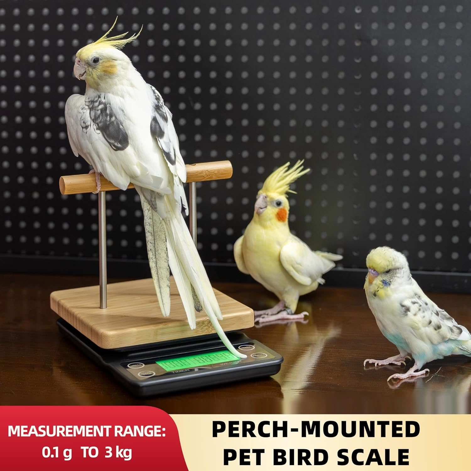 NEOUZA Perch-Mounted Bird Scale, Parrot Training Weight Scale with Perch, Suitable for Society Finches, Canaries, Budgerigars, Cockatiels, African Greys, Pigeons image number 6
