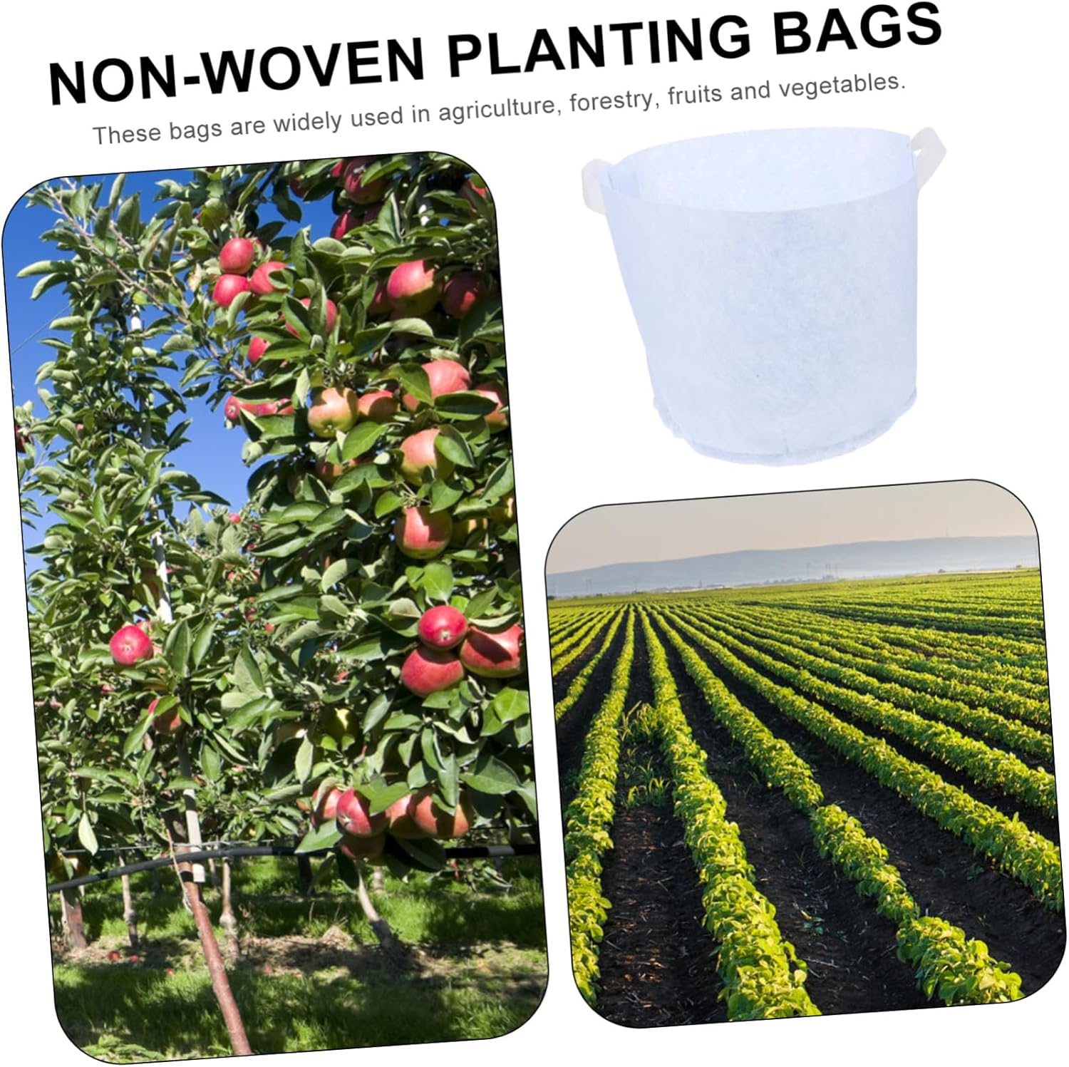 DECOMELODY 10Pcs Non-Woven Fabric Plant Growing Bags for Potatoes Tomatoes and Flowers Breathable Cultivation Pouch for Healthy Root Development and Maximized Gardening Space image number 2