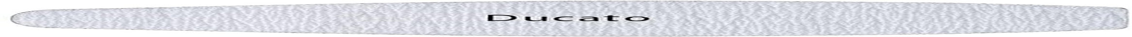 Ducato Nail File (Zebra Type) image number 1