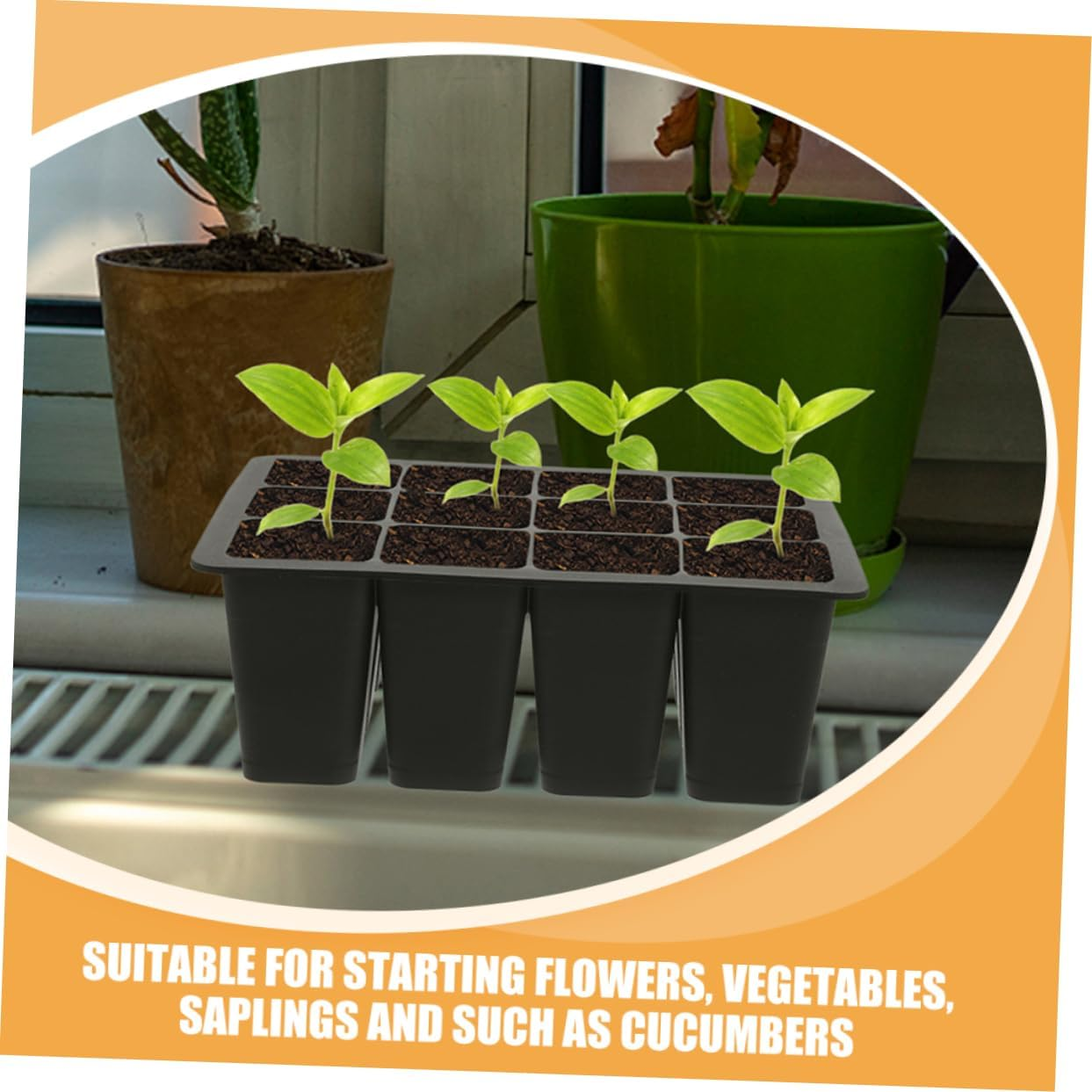 FUNOMOCYA Plant Germination Trays Starter Tray Kit Lids Planting Supplies Starter Pots for Indoor Gardening image number 5