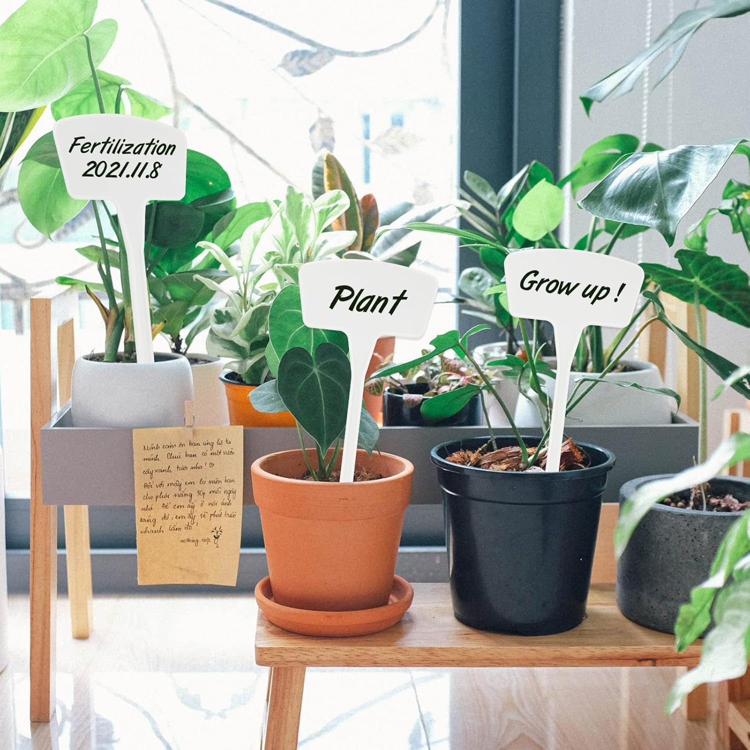 Plastic Plant Labels,10.4 Inch 30 Pack Outdoor Garden Tags Thick Garden Labels,Waterproof Sturdy Nursery Garden Markers,Strong Large Plant Markers for Vegetable Plants,Fruits,Flowers image number 5