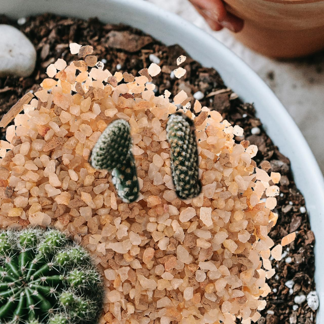 Succulent Rocks and Decorative Pebbles for Planters, Small Crystal Gravel for Garden Stones, Landscaping Cactus Stone Mix for Outdoor Plant Terrariums image number 3