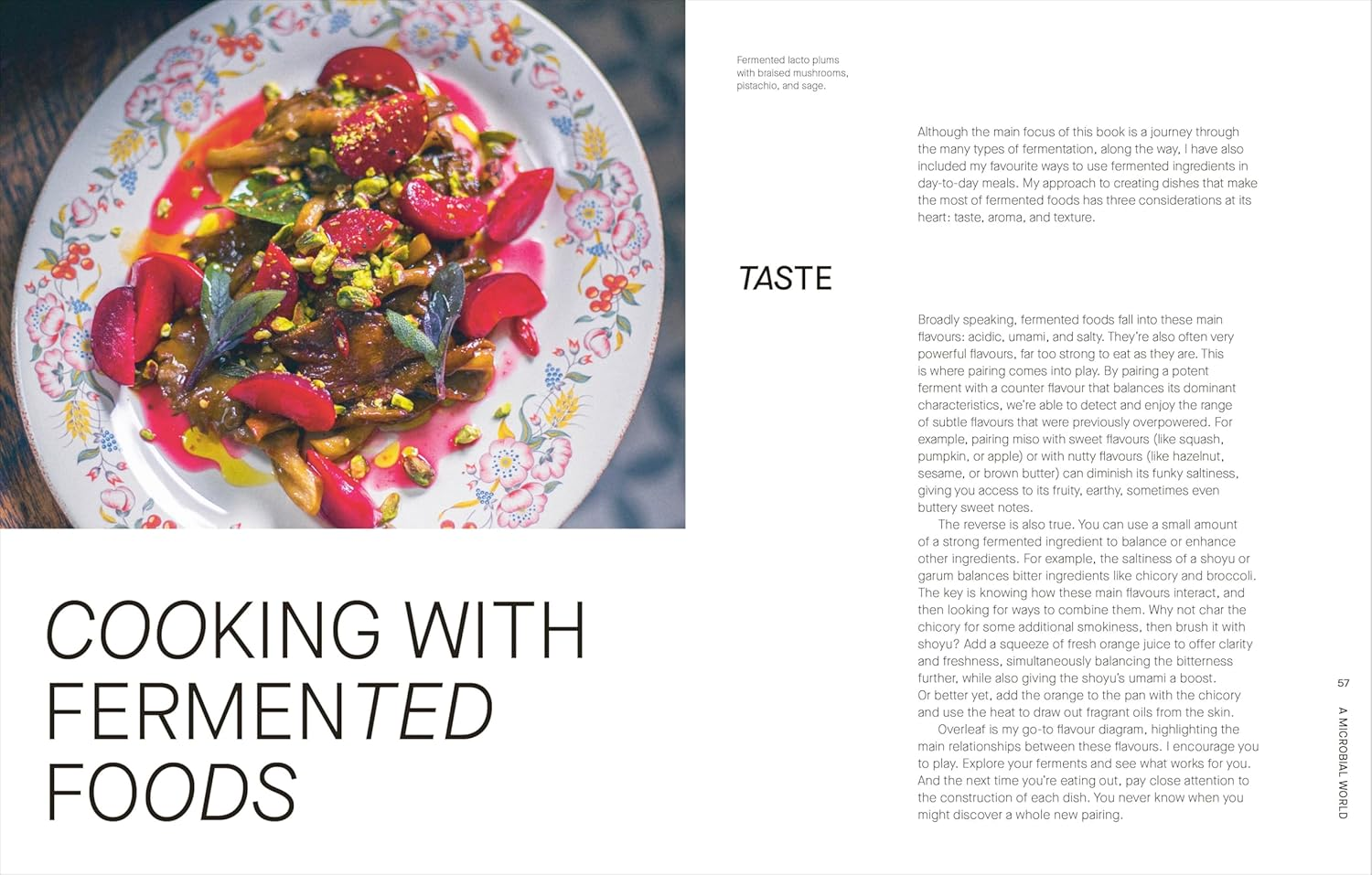 The Fermentation Kitchen: Recipes and Techniques for Kimchi, Kombucha, Koji and More