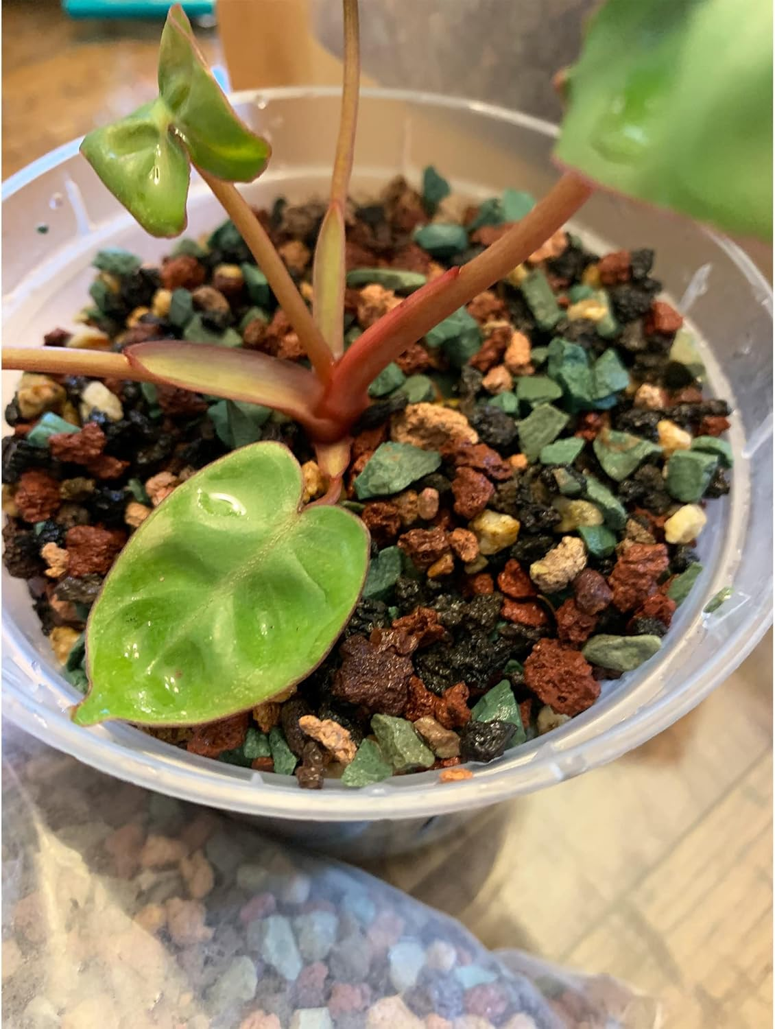 7Lb Mix Lava Rocks for Plants in Door -Gravel Pebbles for Bonsai Succulent Cactus Potting Soil and Vase Fillers, Fairy Gardening,Top Dressing image number 2