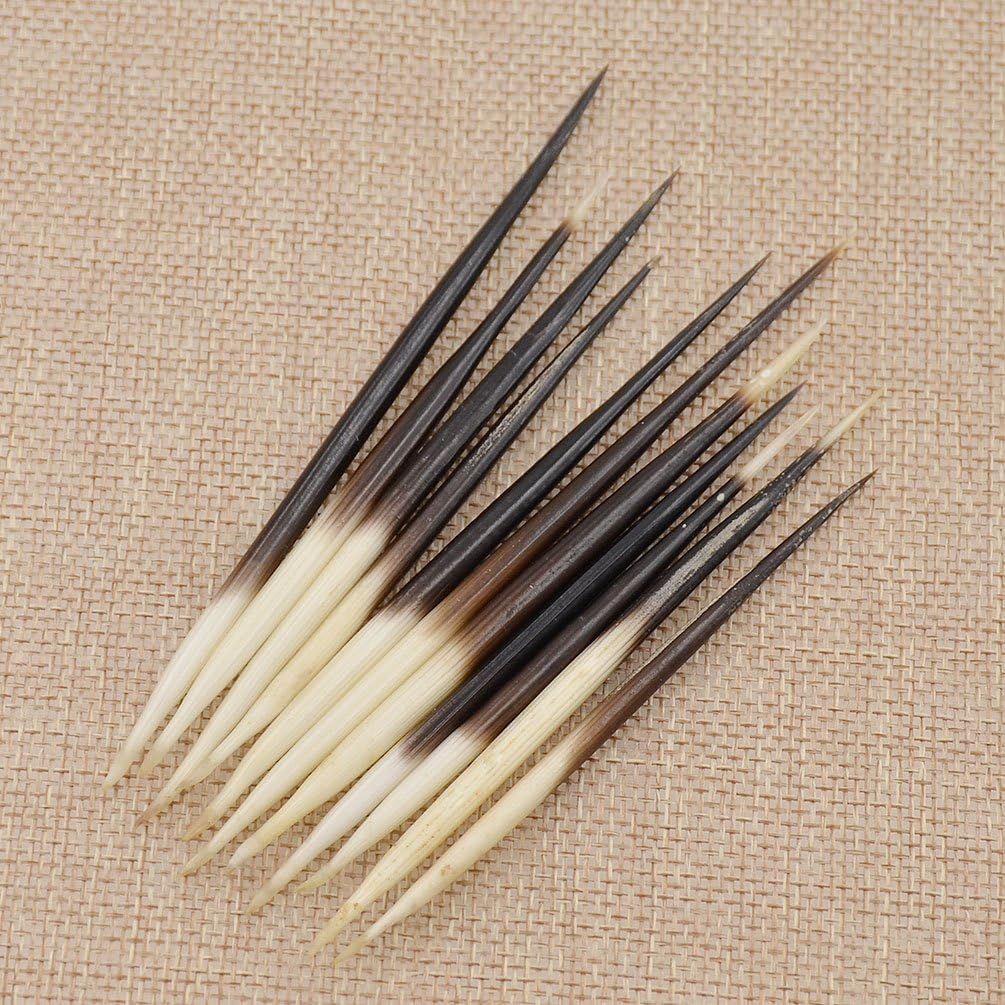 10Pcs Porcupine Quills Hair Stick Indian Crafts Accessories Fishing Buoy DIY Sewing Project Kits Arts image number 5