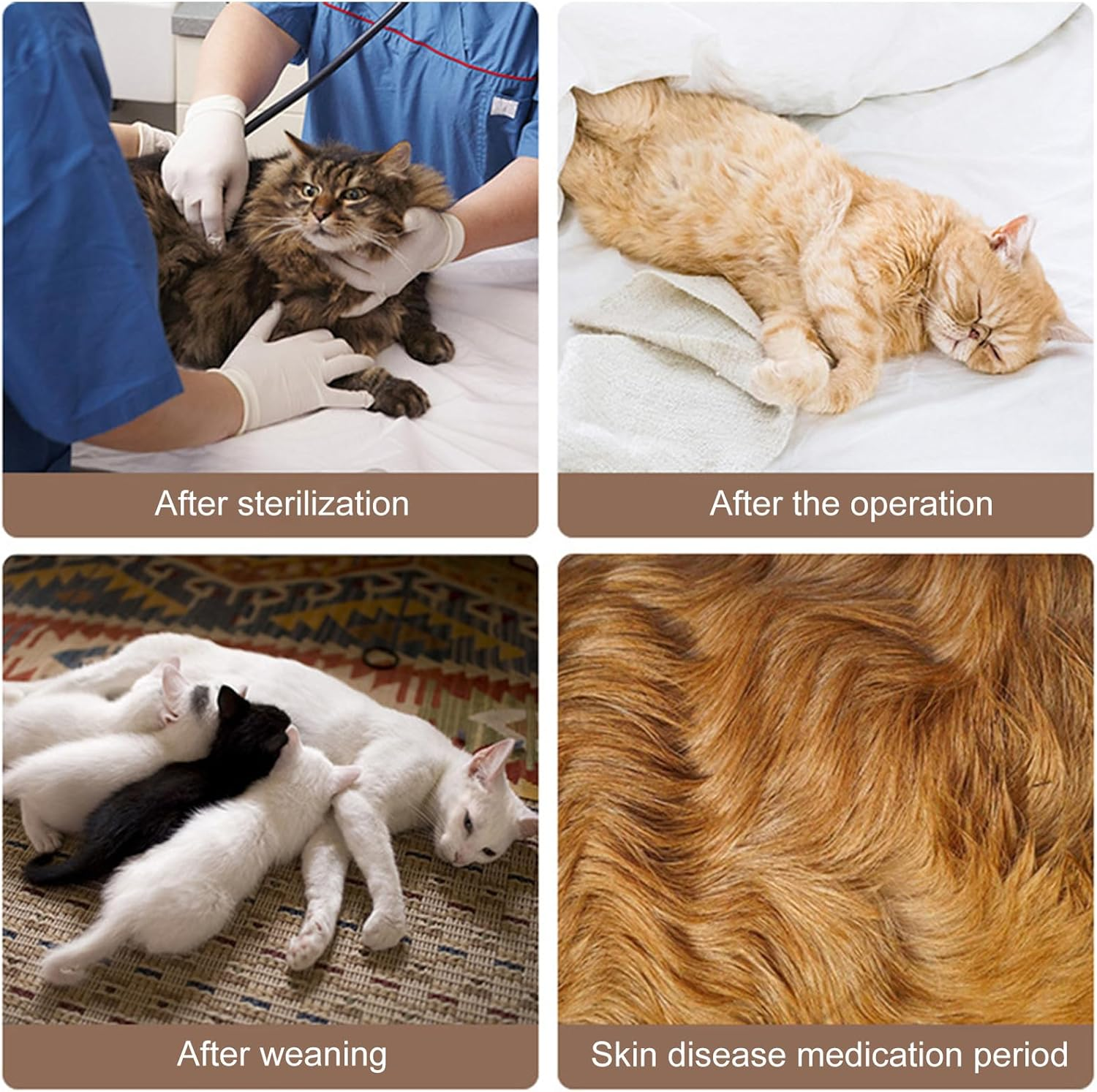 KASESSS 2 Pcs Cat Recovery Suit, Cat Clothes after Surgery, Cat Surgery Recovery Suits, Soft Cat Post Surgery Suit, Cat Onesie anti Licking for Abdominal Wounds Skin Diseases E-Collar Cone Alternative image number 3