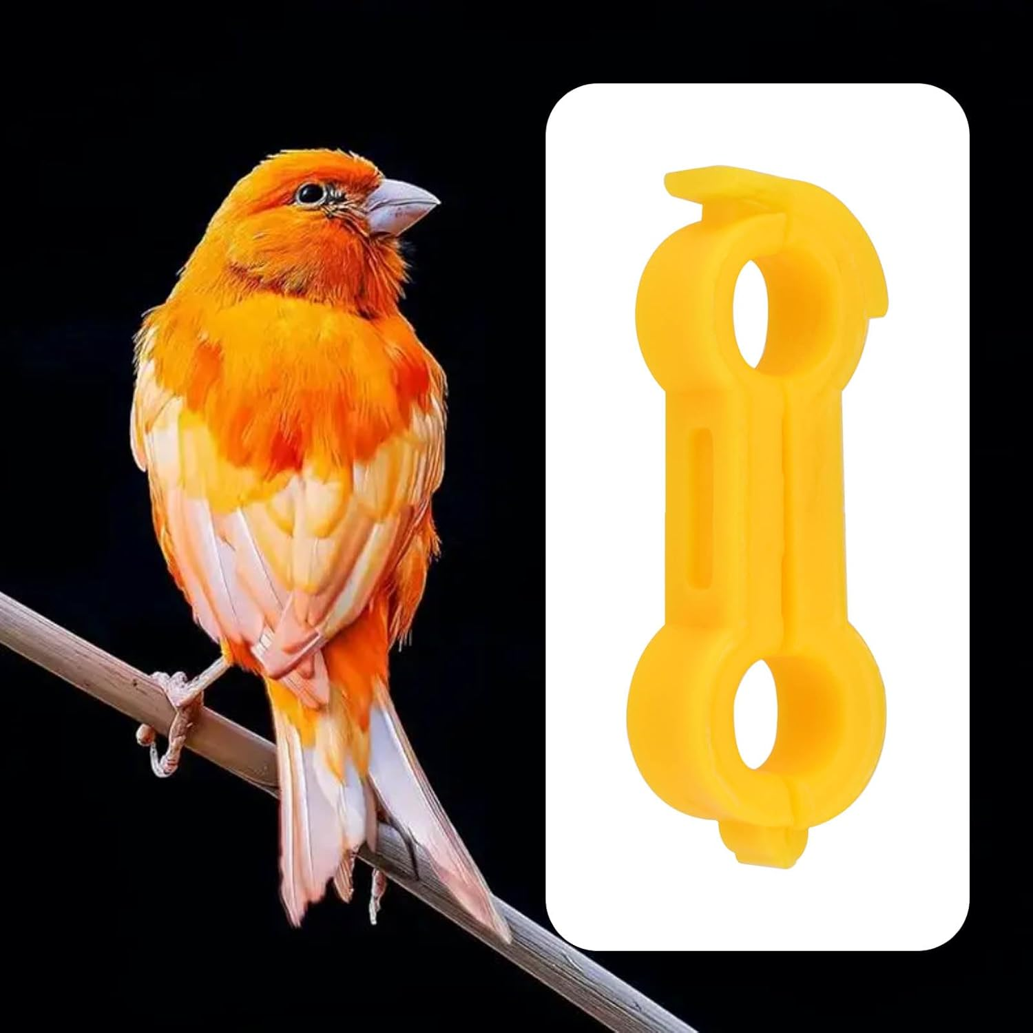 Emagtech 2Pcs 5Mm Bird Splayed Leg Treatment Ring Bird Splay Leg Hobble Leg Bands for Exhibition Budgies Lovebirds and Parakeets Orange image number 4