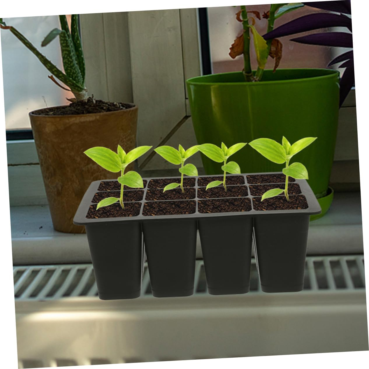 FUNOMOCYA Plant Germination Trays Starter Tray Kit Lids Planting Supplies Starter Pots for Indoor Gardening image number 6