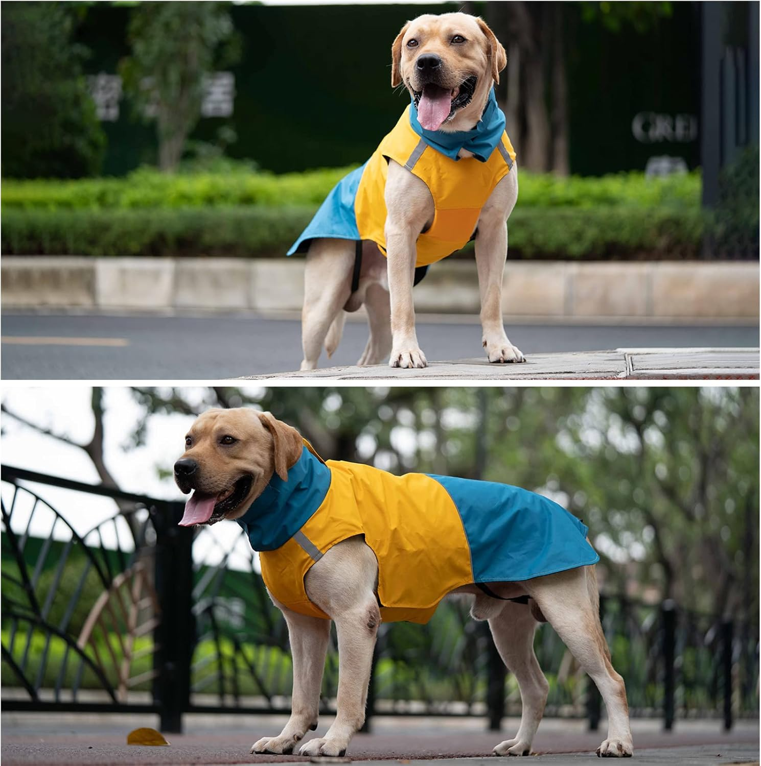 XXXL Warm Dog Coats - Windproof Winter Outdoor Jackets, Cold Weather Waterproof Raincoats with Leash Hole, Blue+Yellow image number 6