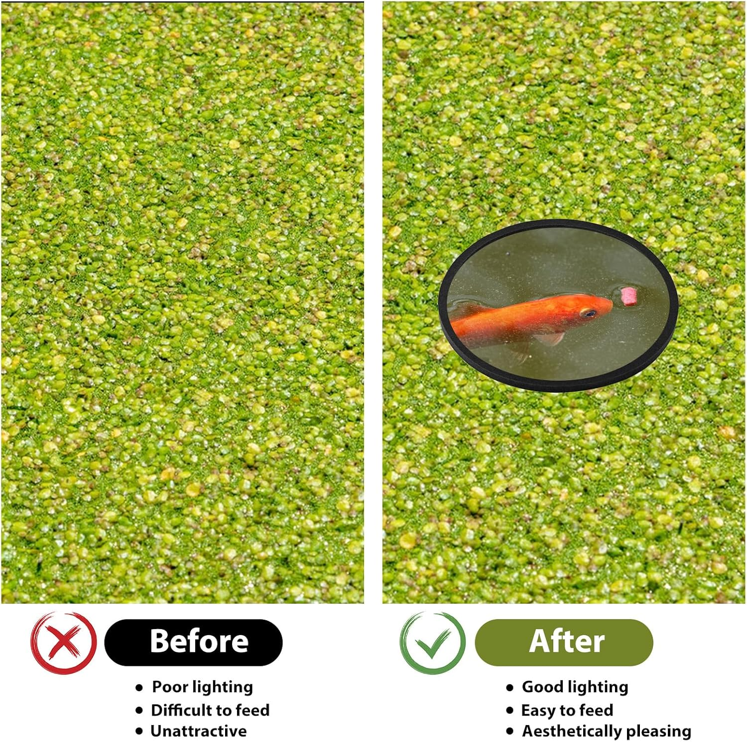 10 PCS Fish Feeding Rings, Aquarium Floating Plant Corral round & Square Aquarium Plant Holder Fish Toys Turtle Betta Fish Tank Accessories Reduces Automatic Fish Feeder Waste, Maintains Water Quality image number 2