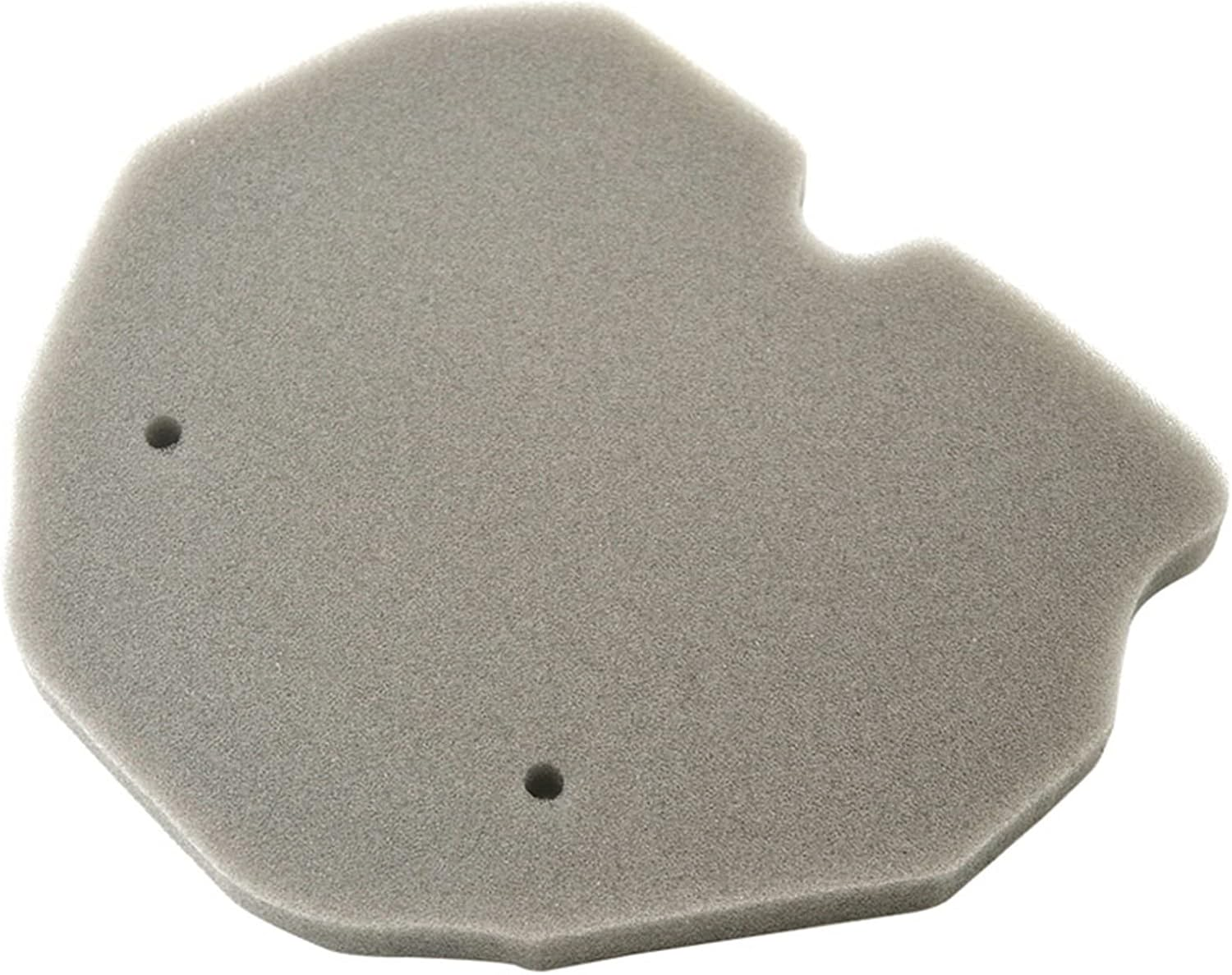 CAREG Cross Motorcycle Parts Air Filter Cleaner Compatible with Benelli BJ600GS BJ600 BJ300GS BJ300 TNT600 BJ 600GS TNT 600 GS 300 Durable image number 2