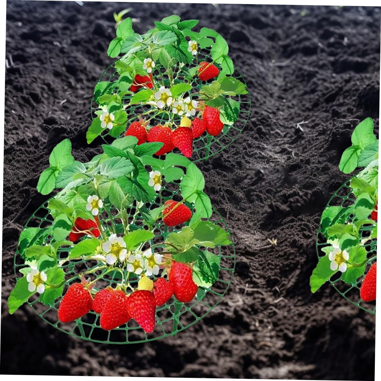 Yardwe 4Pcs Implantation Bracket Garden Hoop Plant Support Hoop Growing Supports for Strawberry Vegetables Plant Arch Climbing Frame Patio Supplies