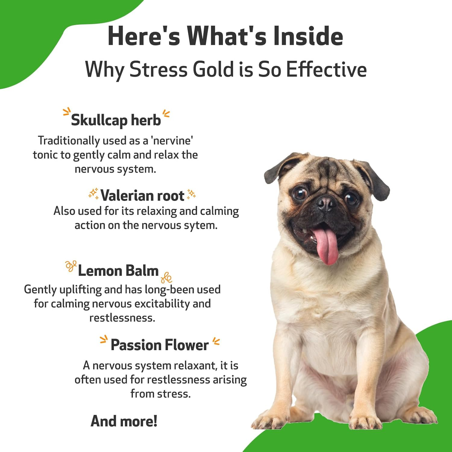 Pet Wellbeing Stress Gold for Dogs - Occasional High Stress and Restlessness, Supports Relaxation, Travel, Vet Trips, Skullcap, Valerian - Veterinarian-Formulated Herbal Supplement 2 Oz (59 Ml) image number 1