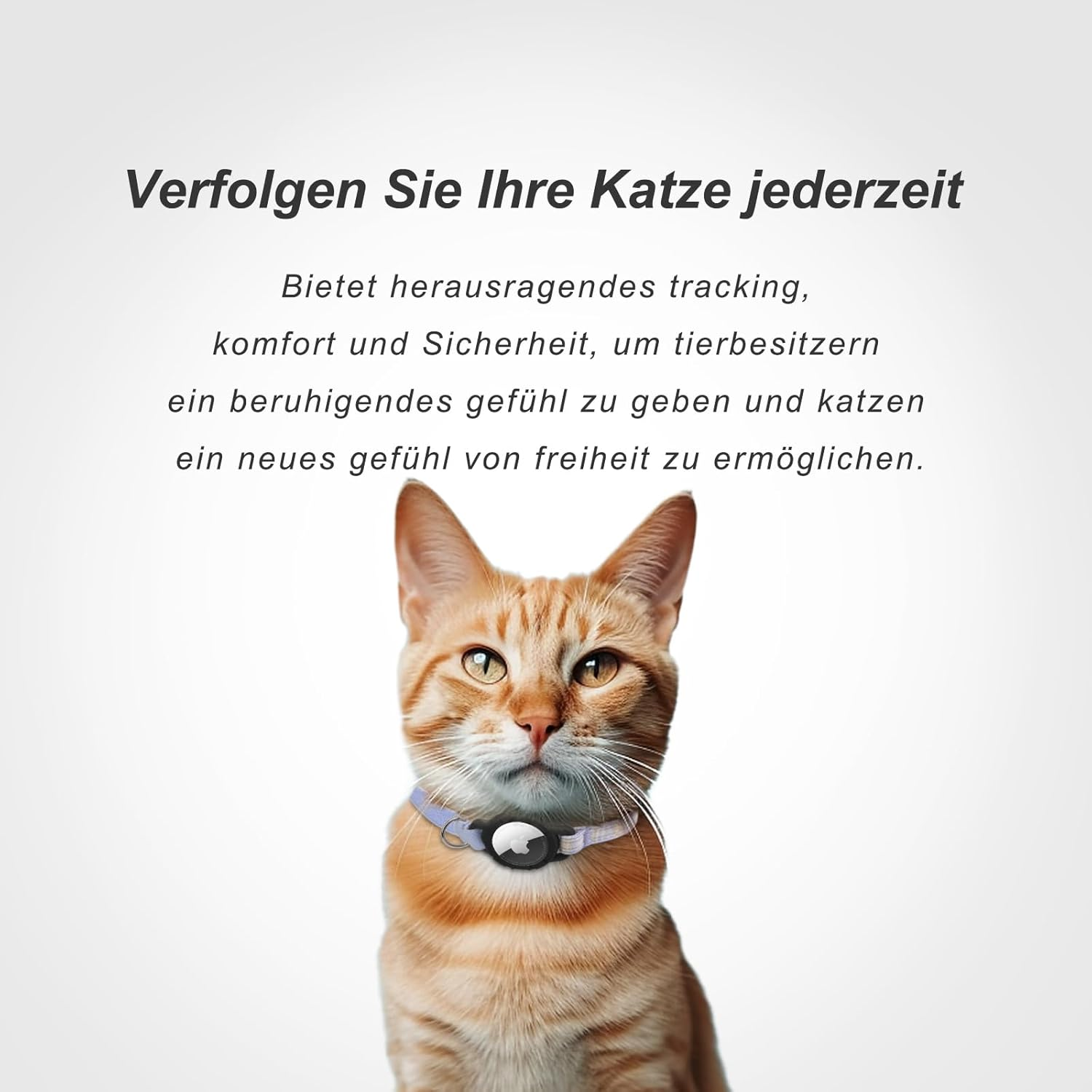 Airtag Cat Collar, Integrated GPS Collar Cat with Apple Airtag Holder, QR Code Name Plate Tracker, Cat ID Tag, Personalised Cat Collars for Kittens and Puppies (Blue, S) image number 3