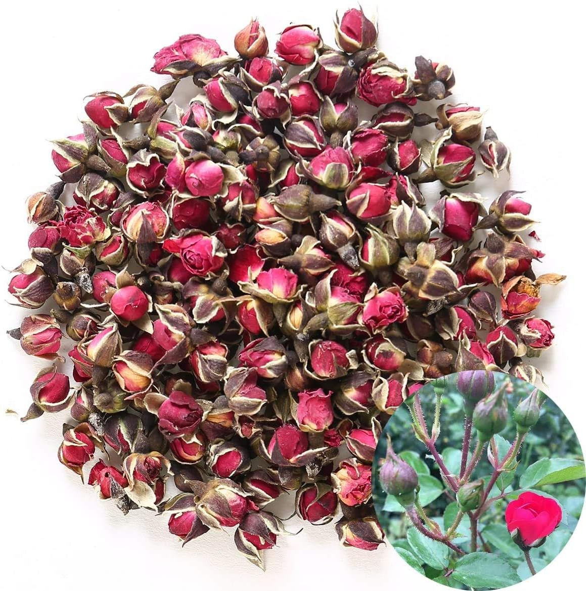 Tooget Fragrant Natural Deep Red Rose Buds Rose Petals Pure Dried Golden-Rim Rose Flowers Wholesale, Culinary Food Grade - 8 OZ image number 1