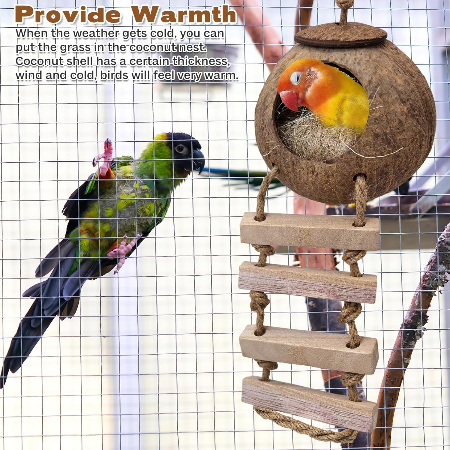PINVNBY Coconut Bird Nest Hut with Ladder, Coconut Hiding Place Inseparable House Hanging Toy for Budgies Parakeets Cockatiels Parakeet Canary Finch Dove (With Natural Cocoon image number 3