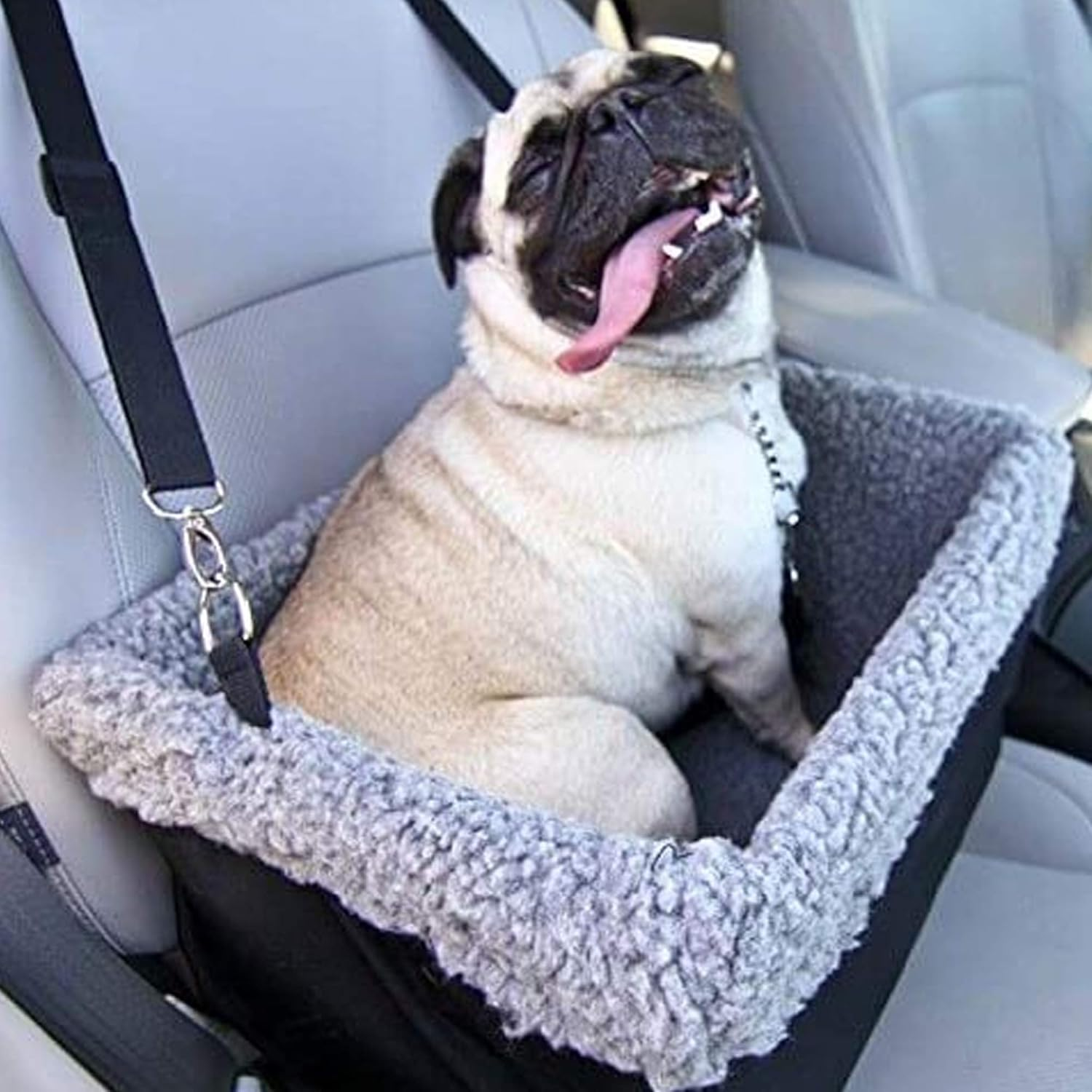 Deluxe Dog Car Seat Fits Pets up to 15Lbs, Dog Booster Seat, Padded Cushioning, Adjustable Straps, Metal Frame Encasing, Installs in Seconds, Collapsible Canvas and Easy to Clean image number 3